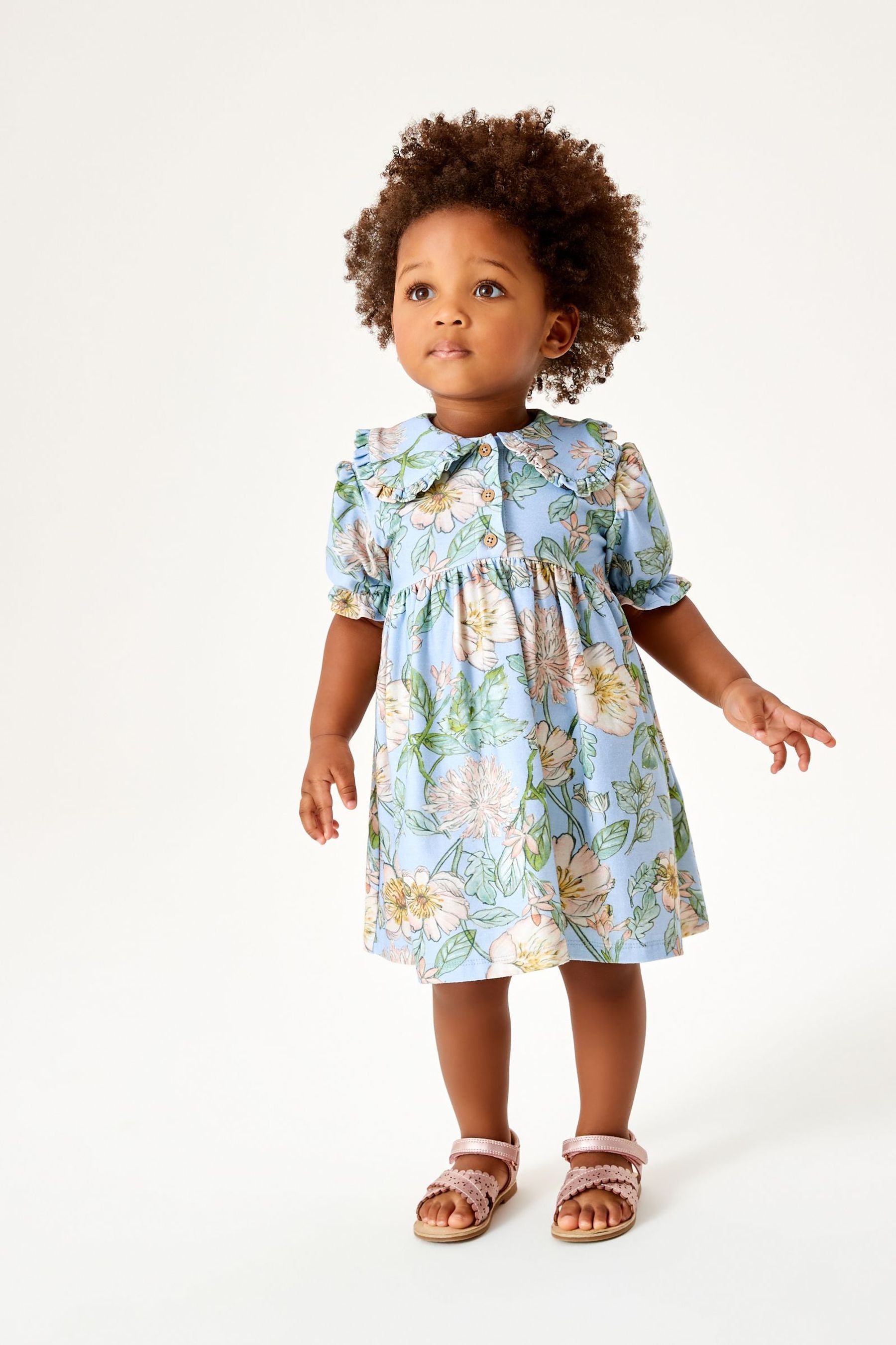 Blue Floral Jersey Collared Tea Dress (3mths-7yrs)