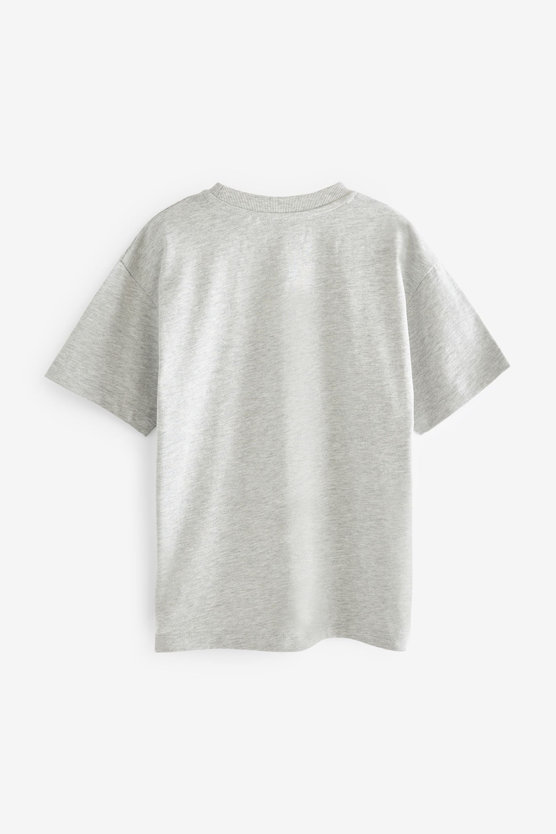 Grey Relaxed Fit T-Shirt (3-16yrs)