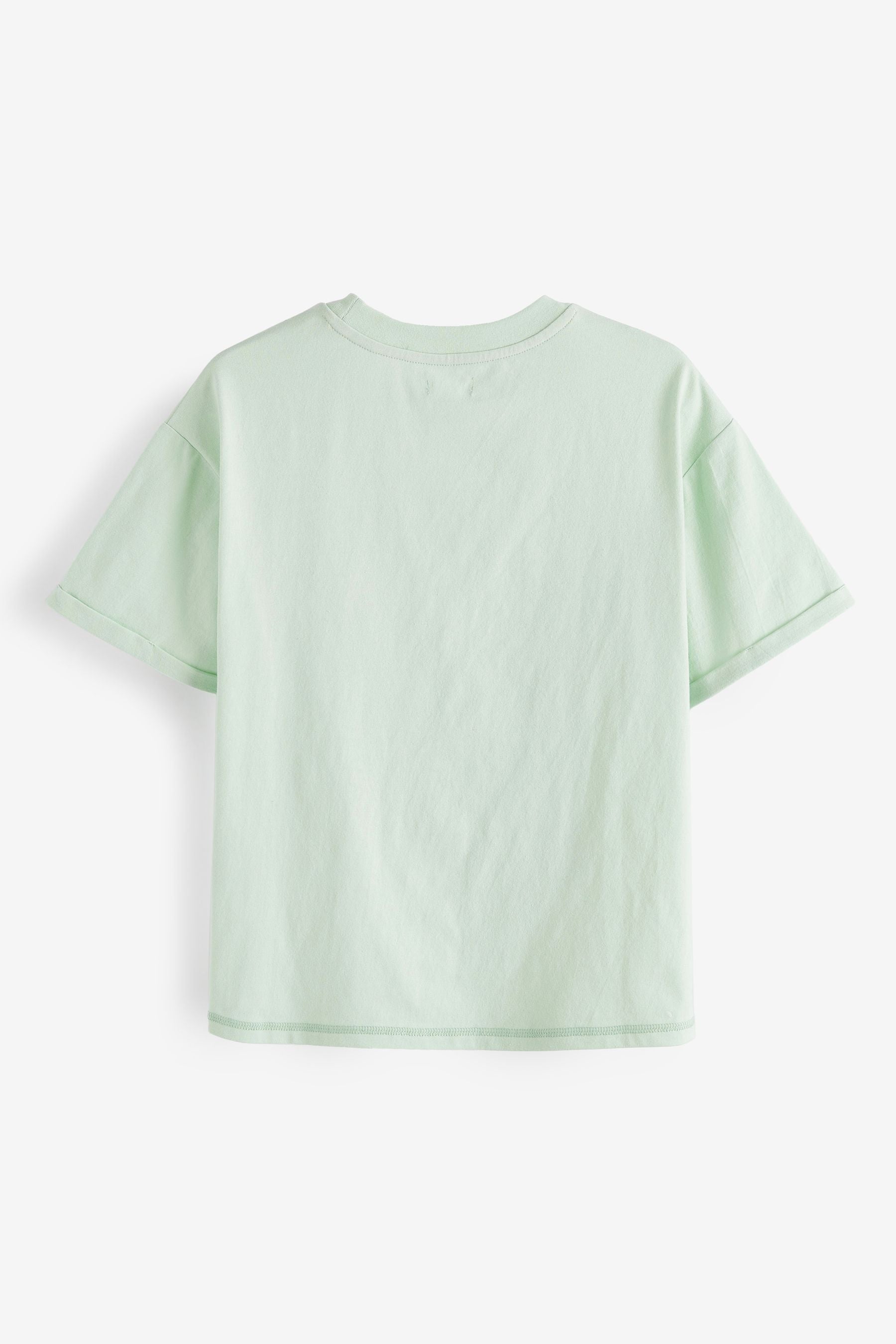 Mint Green Graphic Short Sleeve T-Shirt (3-16yrs)