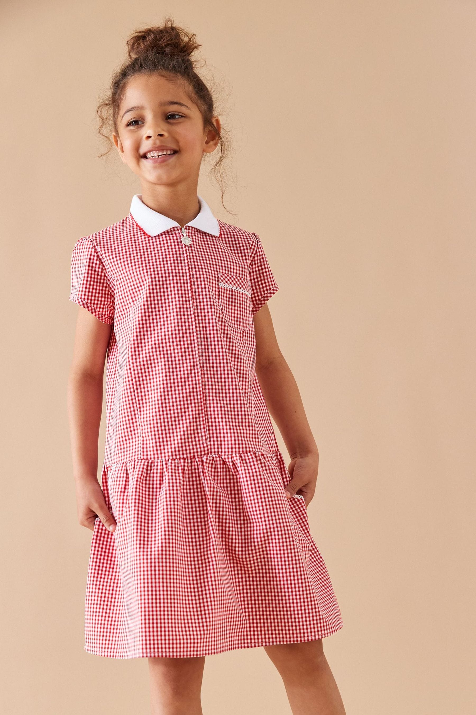 Red Cotton Rich School Gingham Zip Dress (3-14yrs)