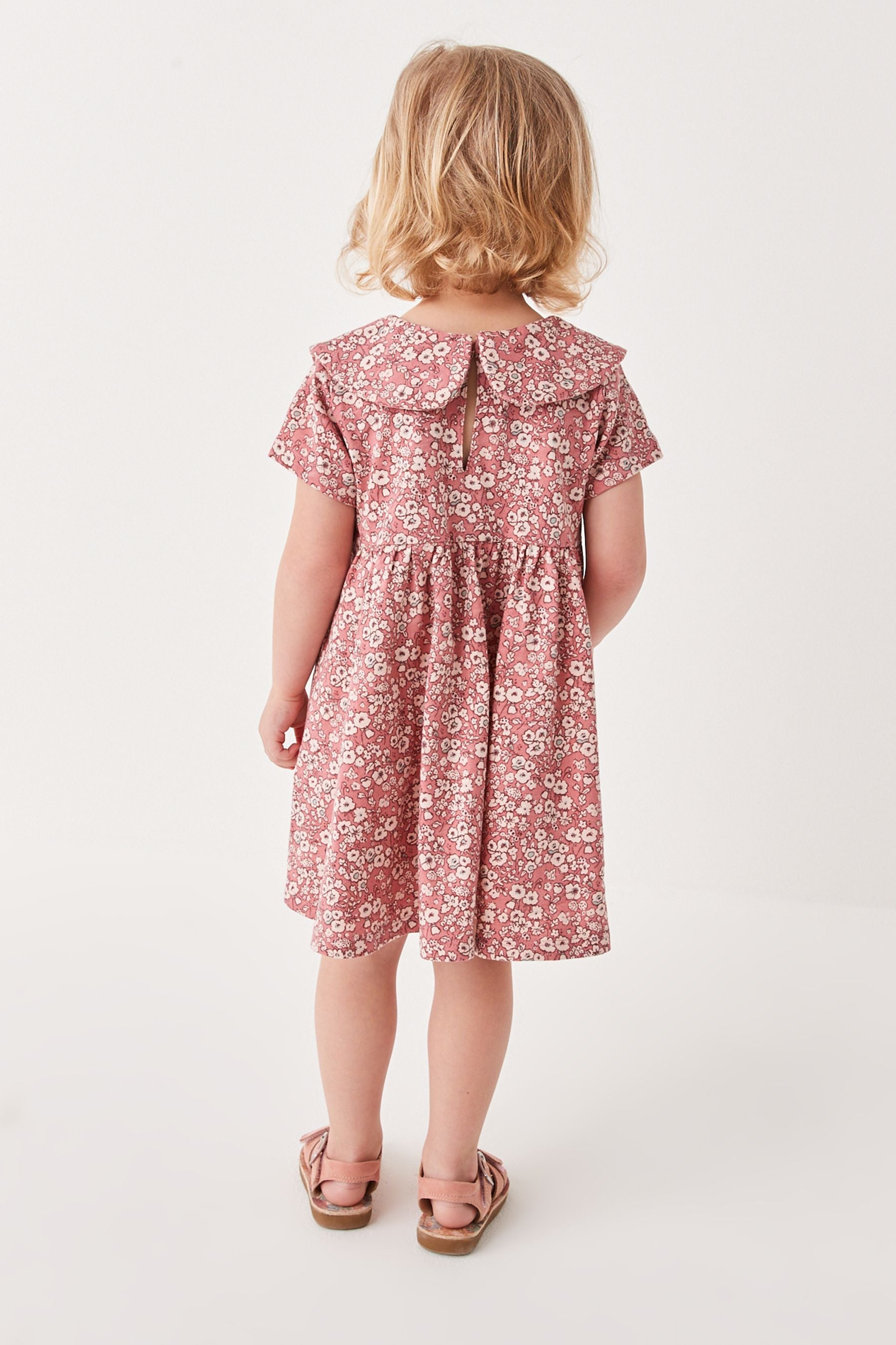 Pink Ditsy Oversized Collar Dress (3mths-7yrs)