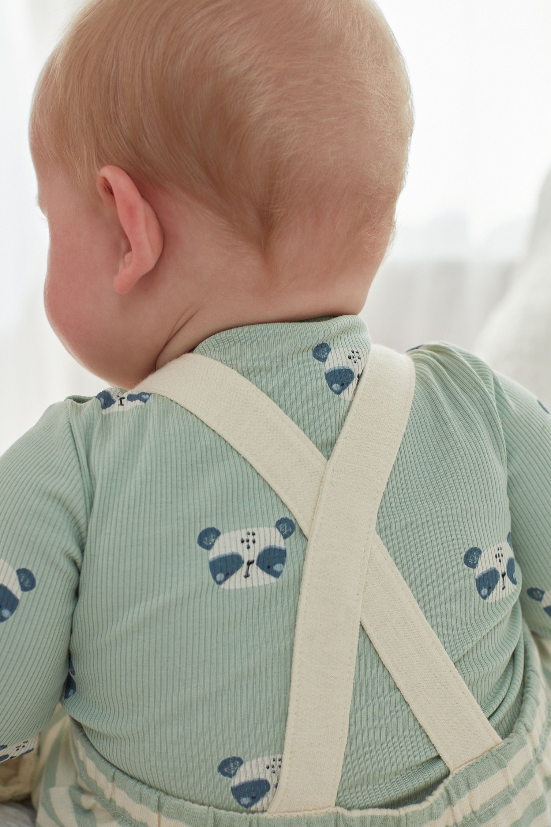 Green/Ecru Stripe Baby Panda Character Dungarees And Bodysuit Set (0mths-2yrs)