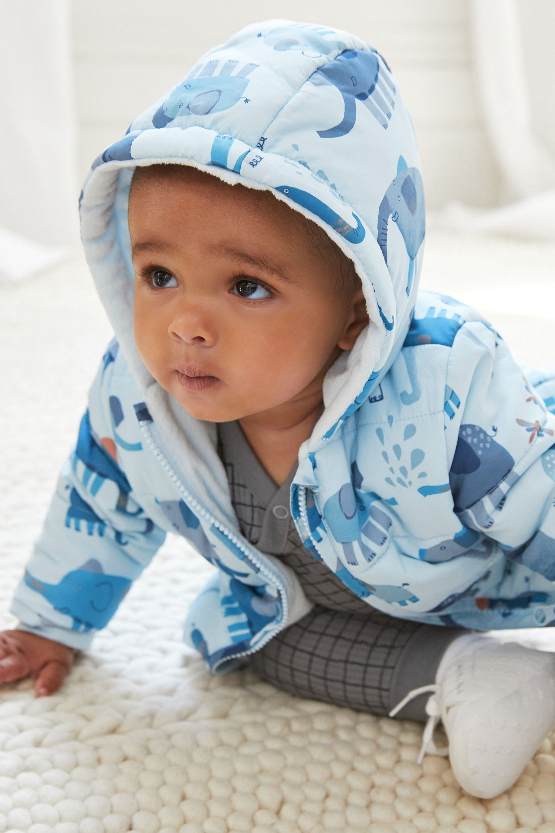 Blue Elephant Print Hooded Baby Jacket (0mths-2yrs)