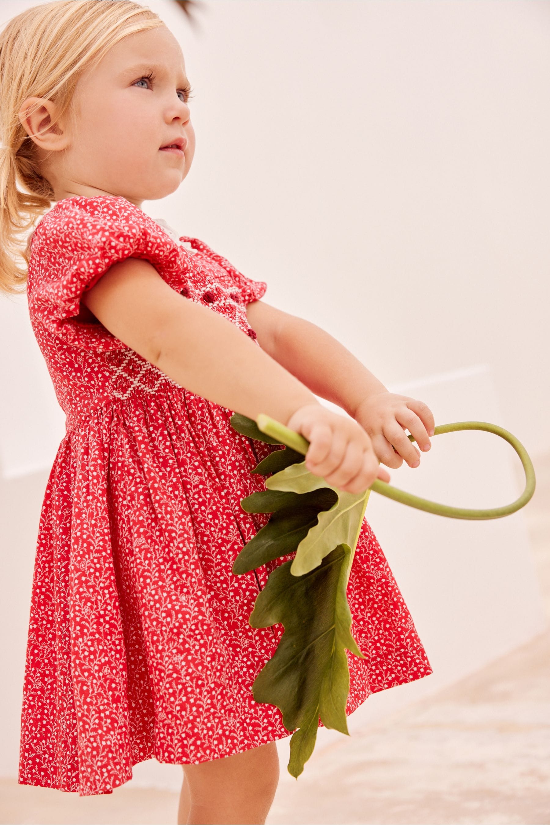 Red Ditsy Printed Lace Collar Shirred Cotton Dress (3mths-7yrs)