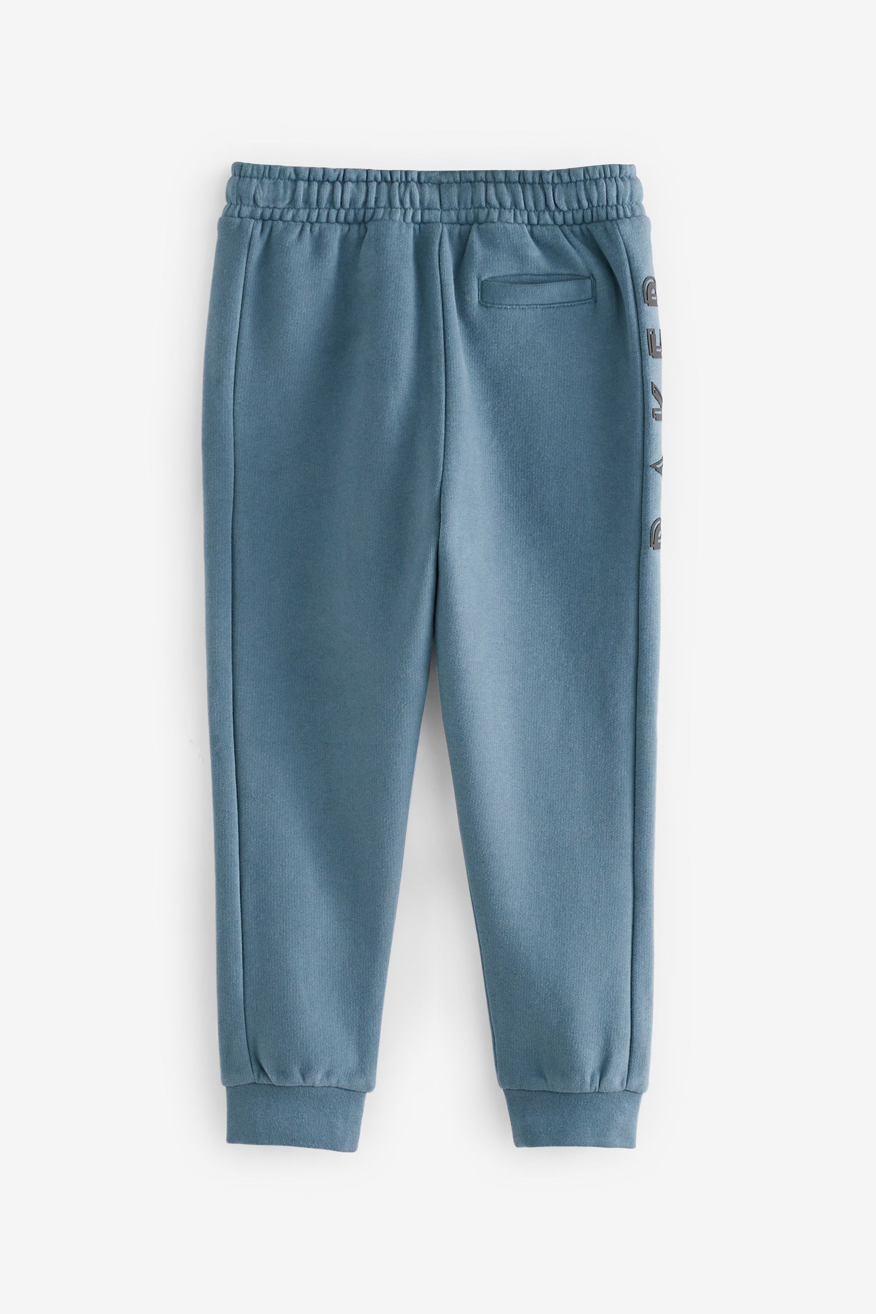 Blue Baker by Ted Baker Joggers