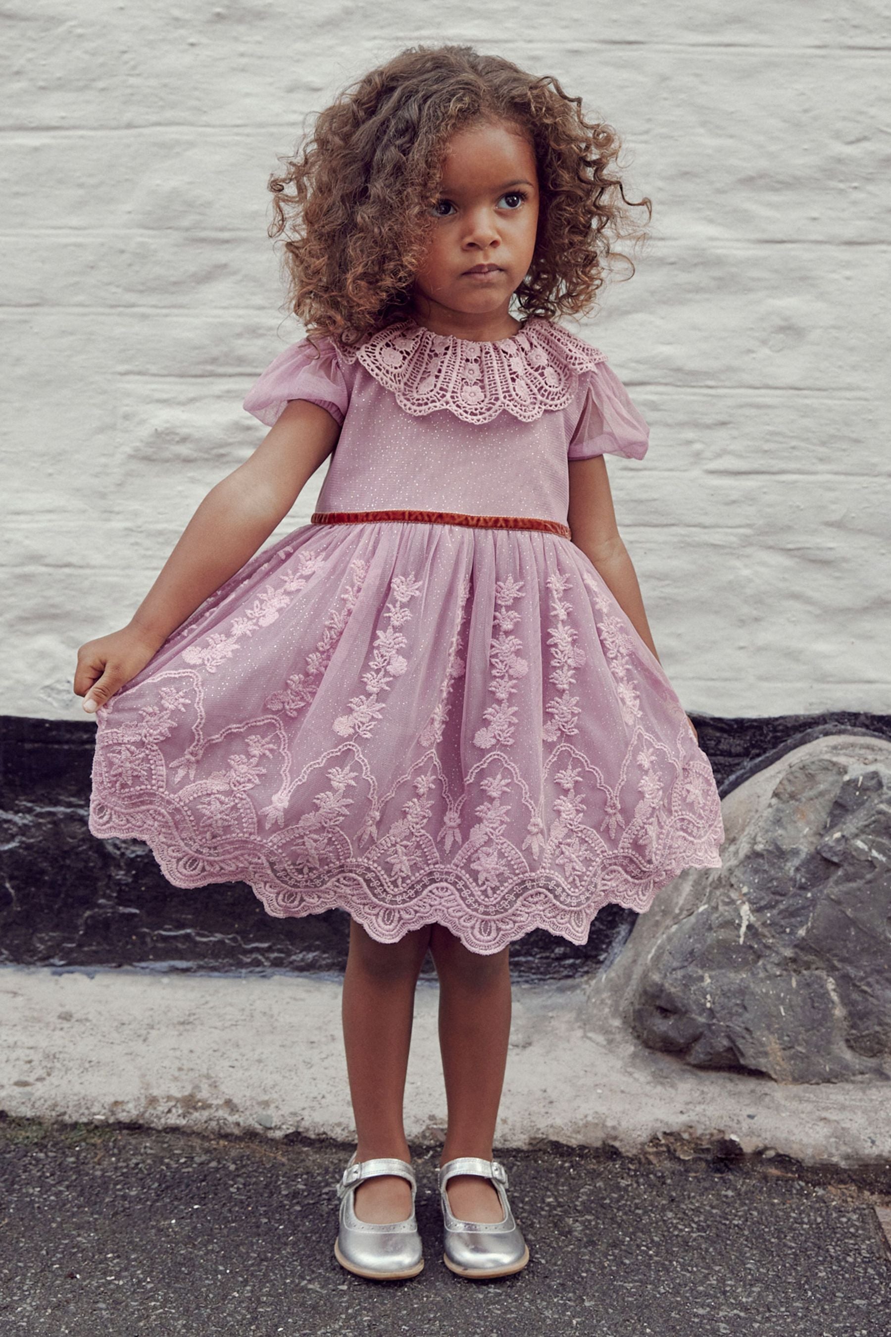 Lilac Purple Embroidered Tulle Dress (3mths-8yrs)