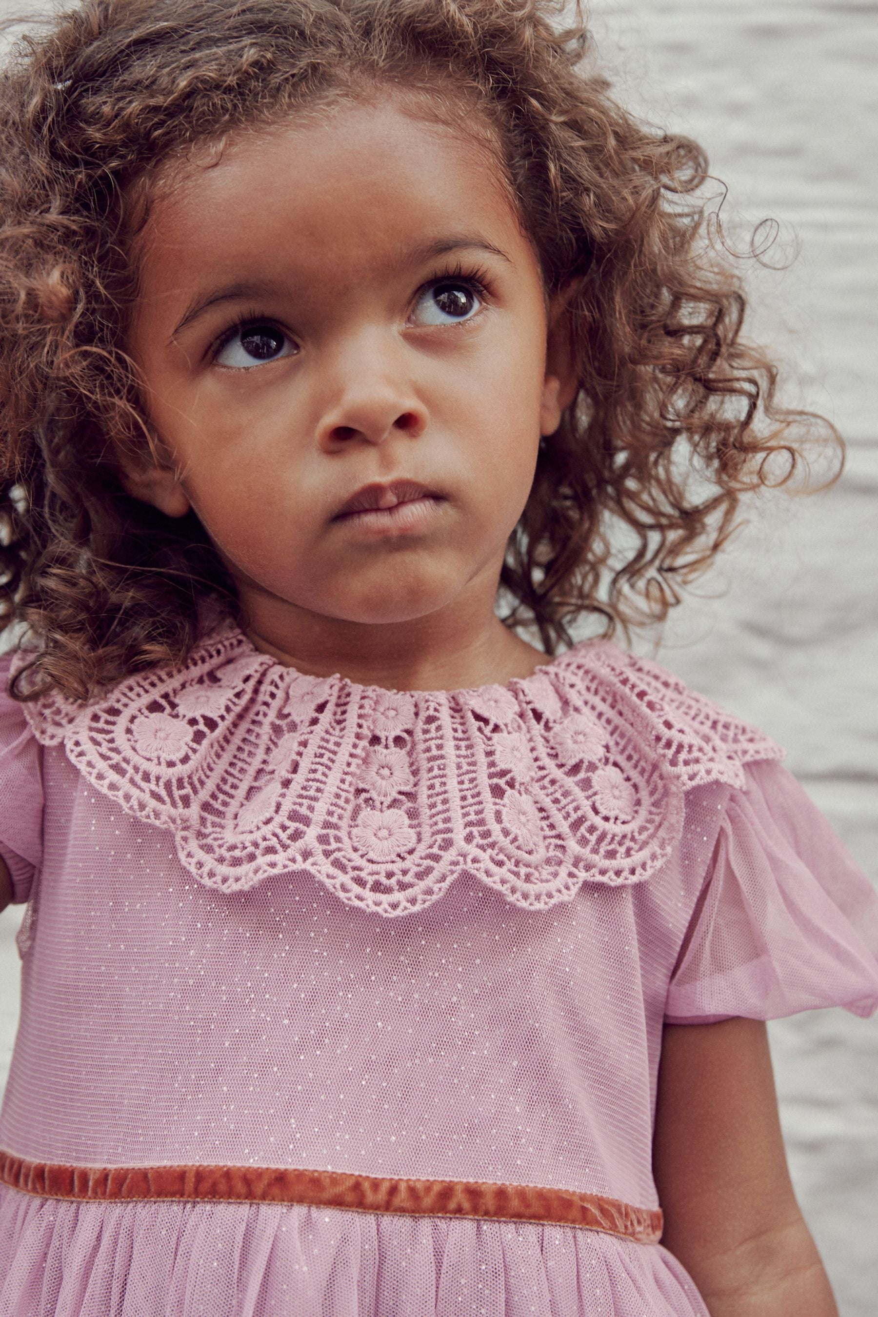 Lilac Purple Embroidered Tulle Dress (3mths-8yrs)