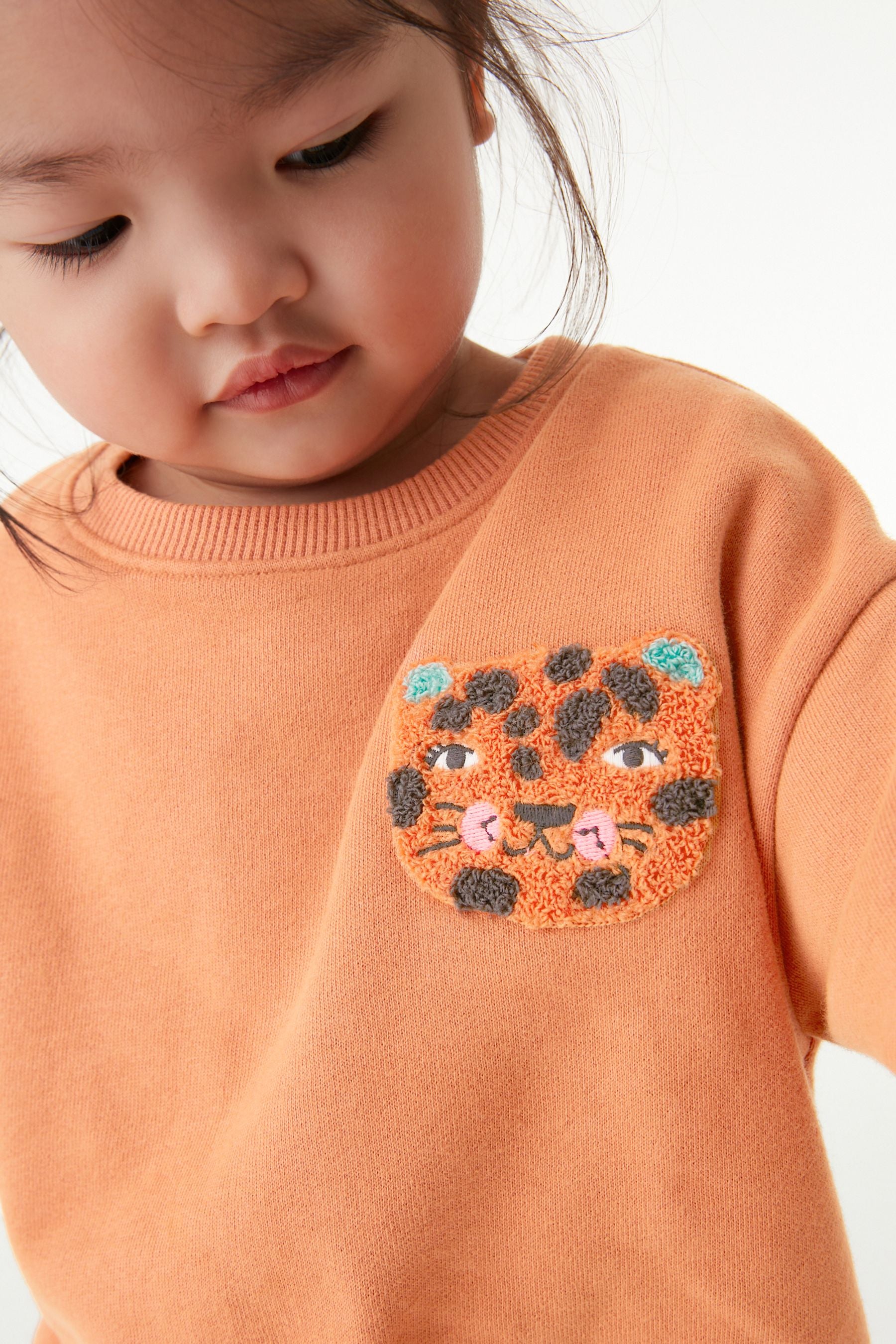 Orange Tiger Character Sweatshirt And Leggings Co-ord Set (3mths-7yrs)