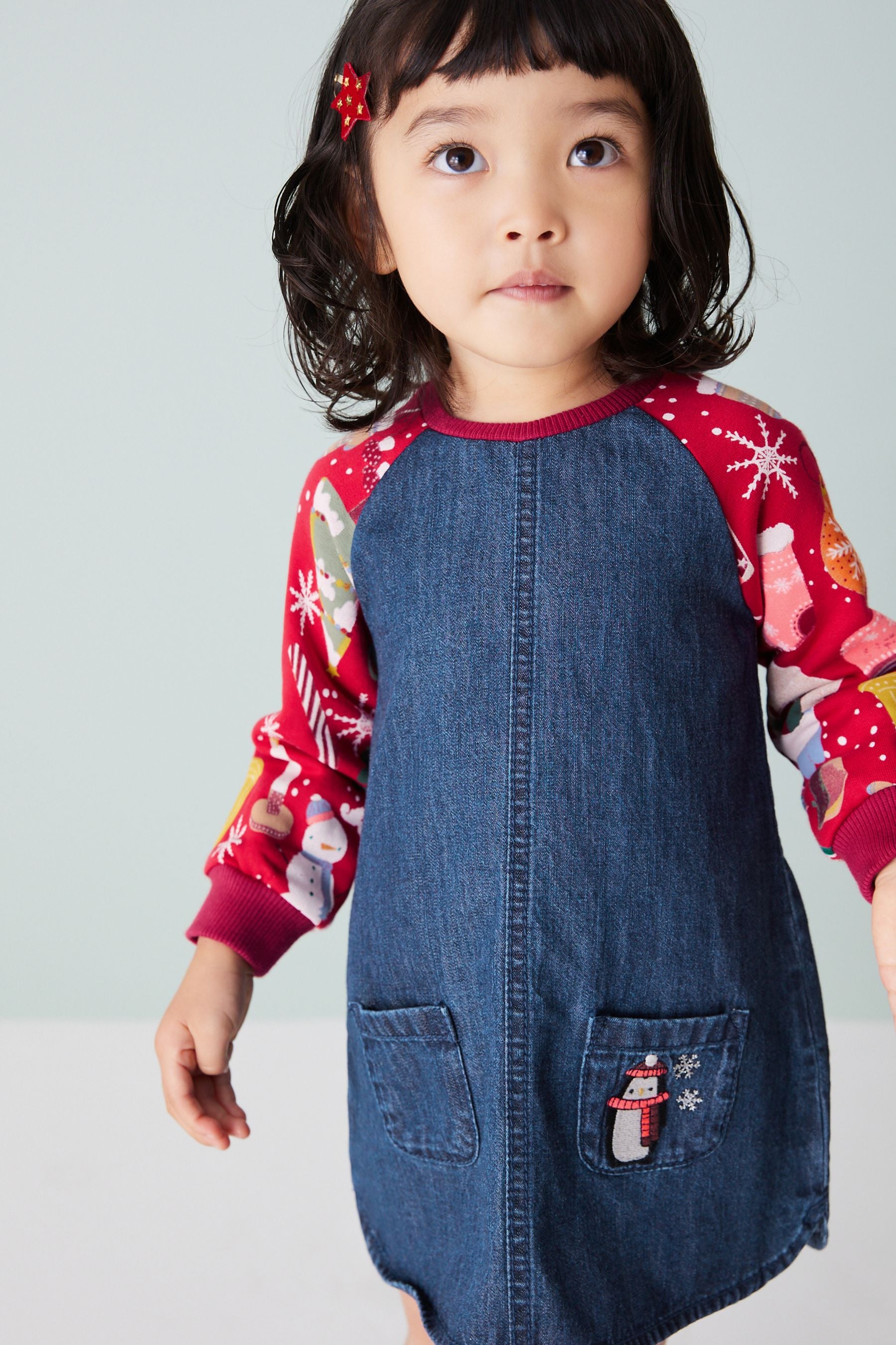 Red Christmas Print Raglan Denim Dress (3mths-8yrs)