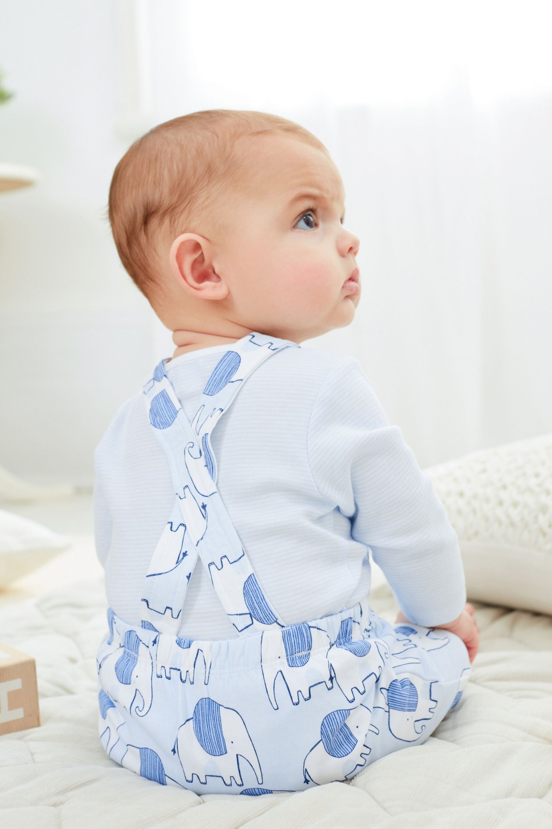 Blue 2 Piece Elephant Dungarees And Bodysuit Set (0mths-2yrs)