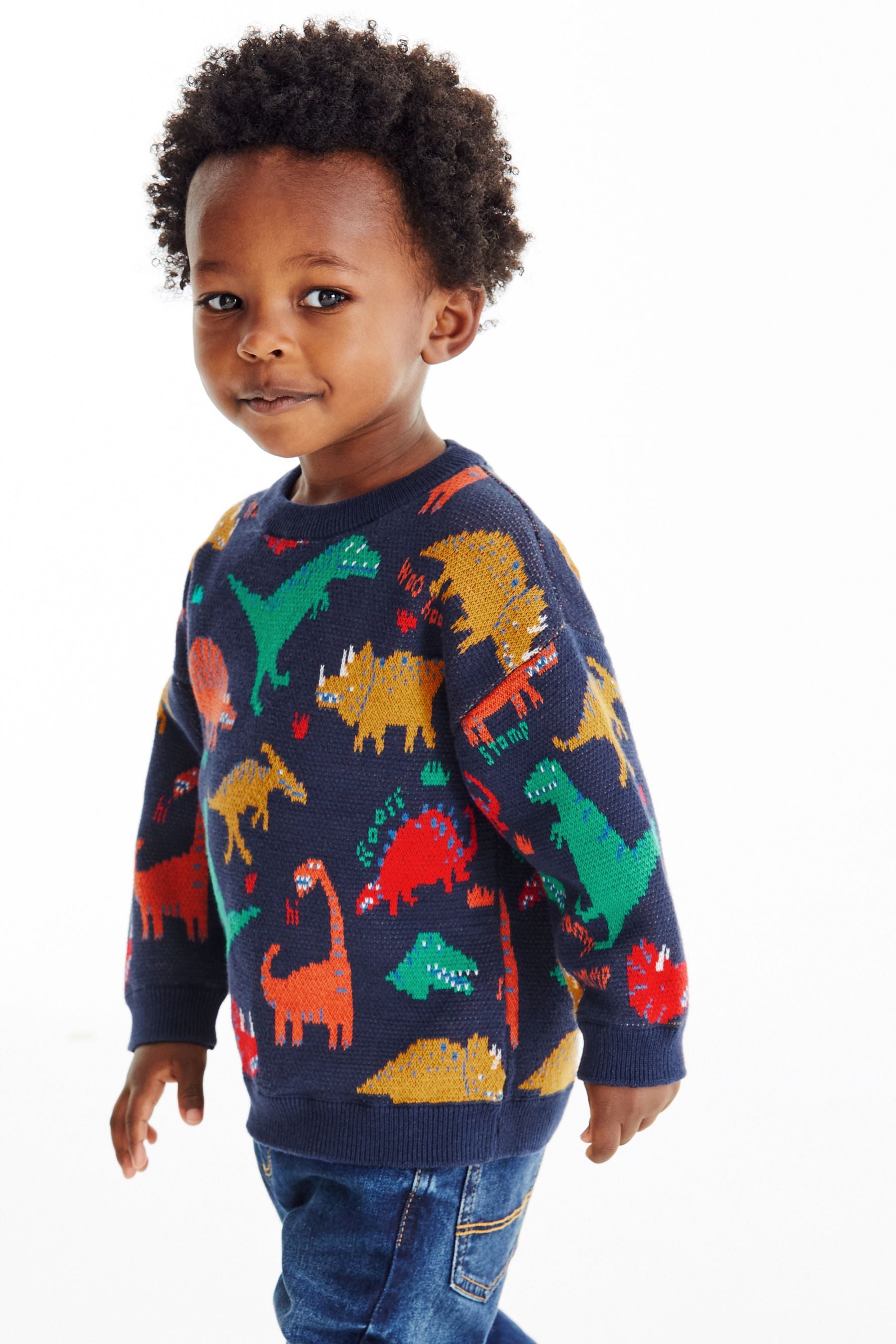 Navy Dinosaur Character Jumper (3mths-7yrs)