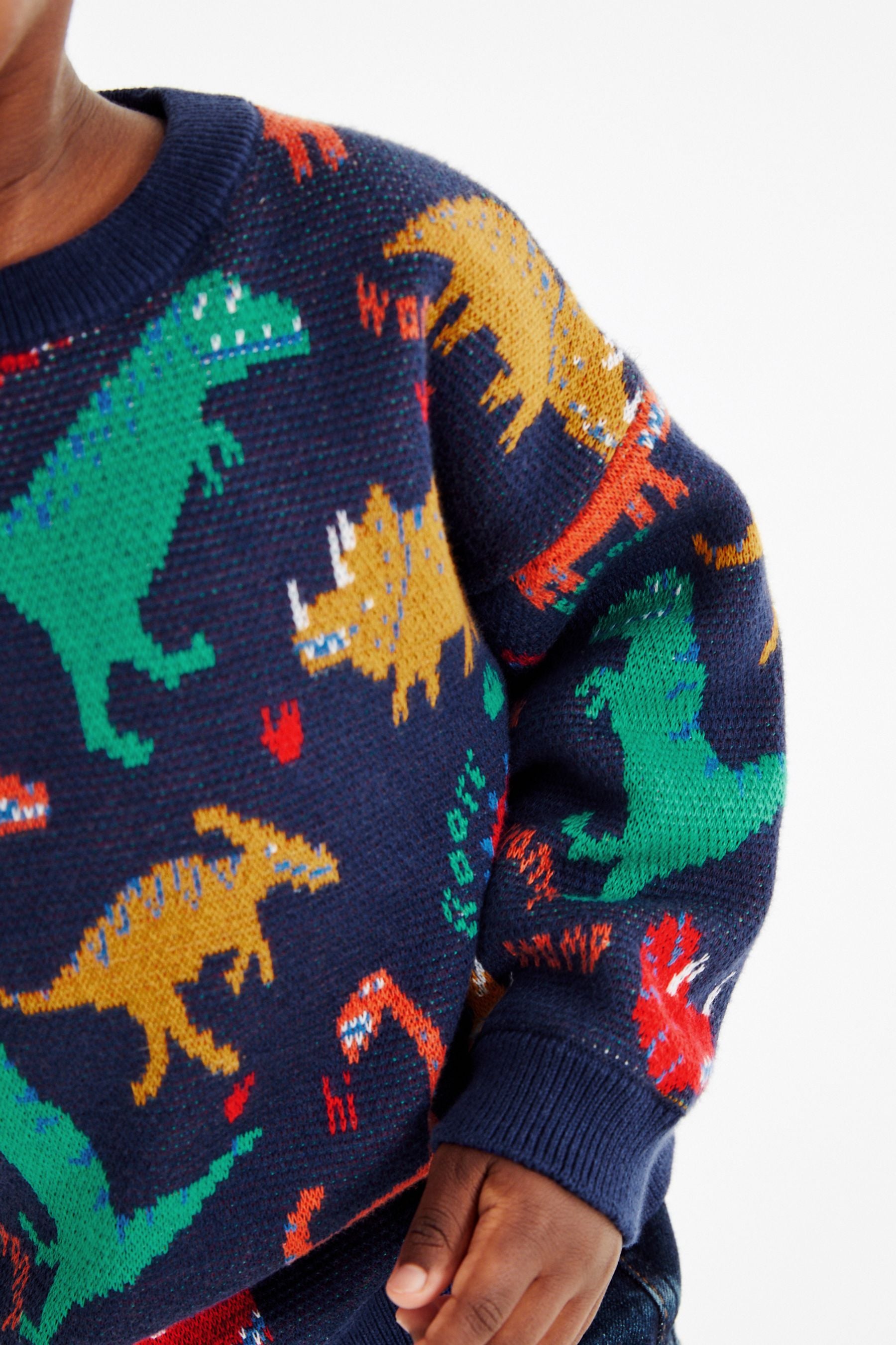 Navy Dinosaur Character Jumper (3mths-7yrs)