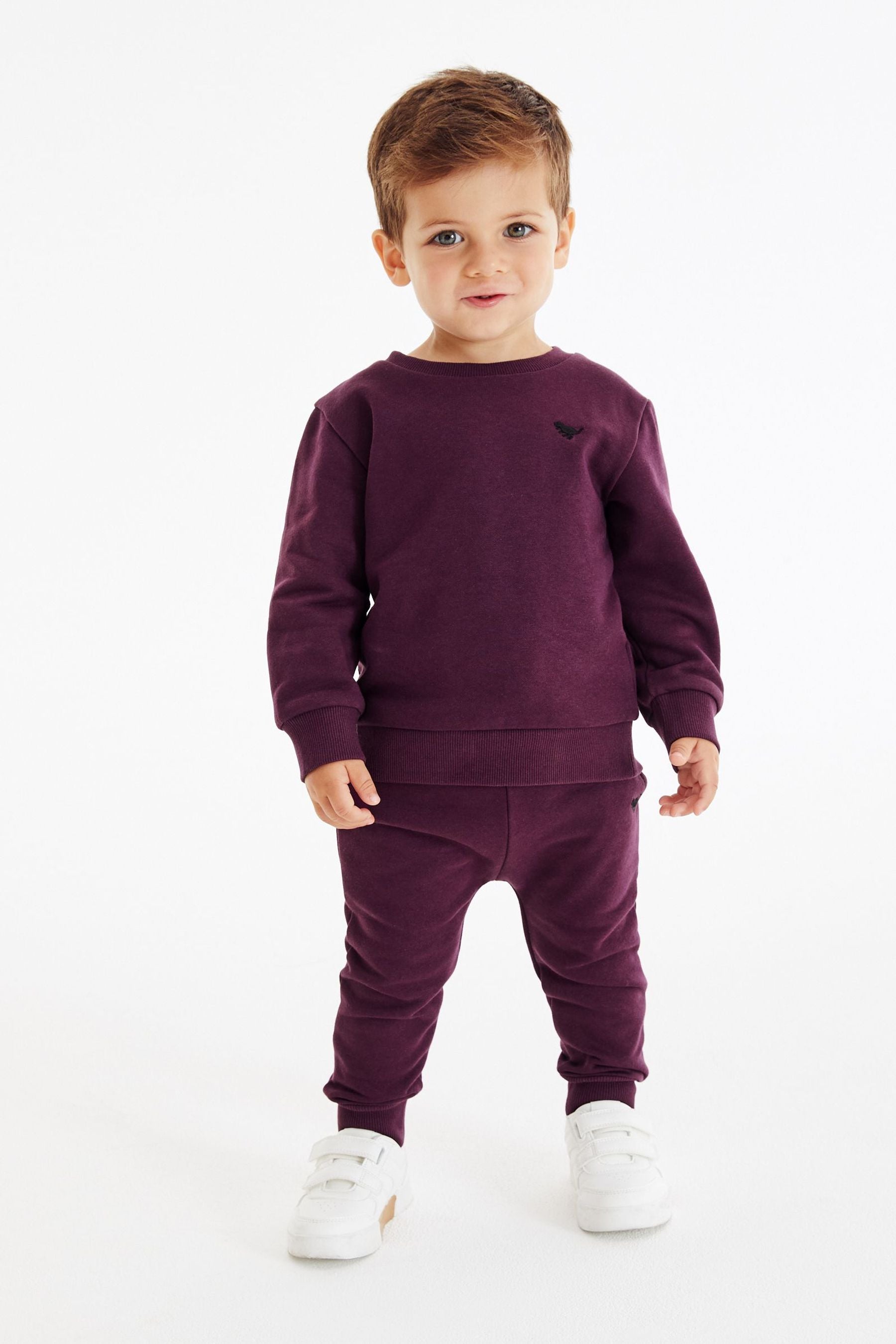 Plum Purple Jersey Sweatshirt And Joggers Set (3mths-7yrs)