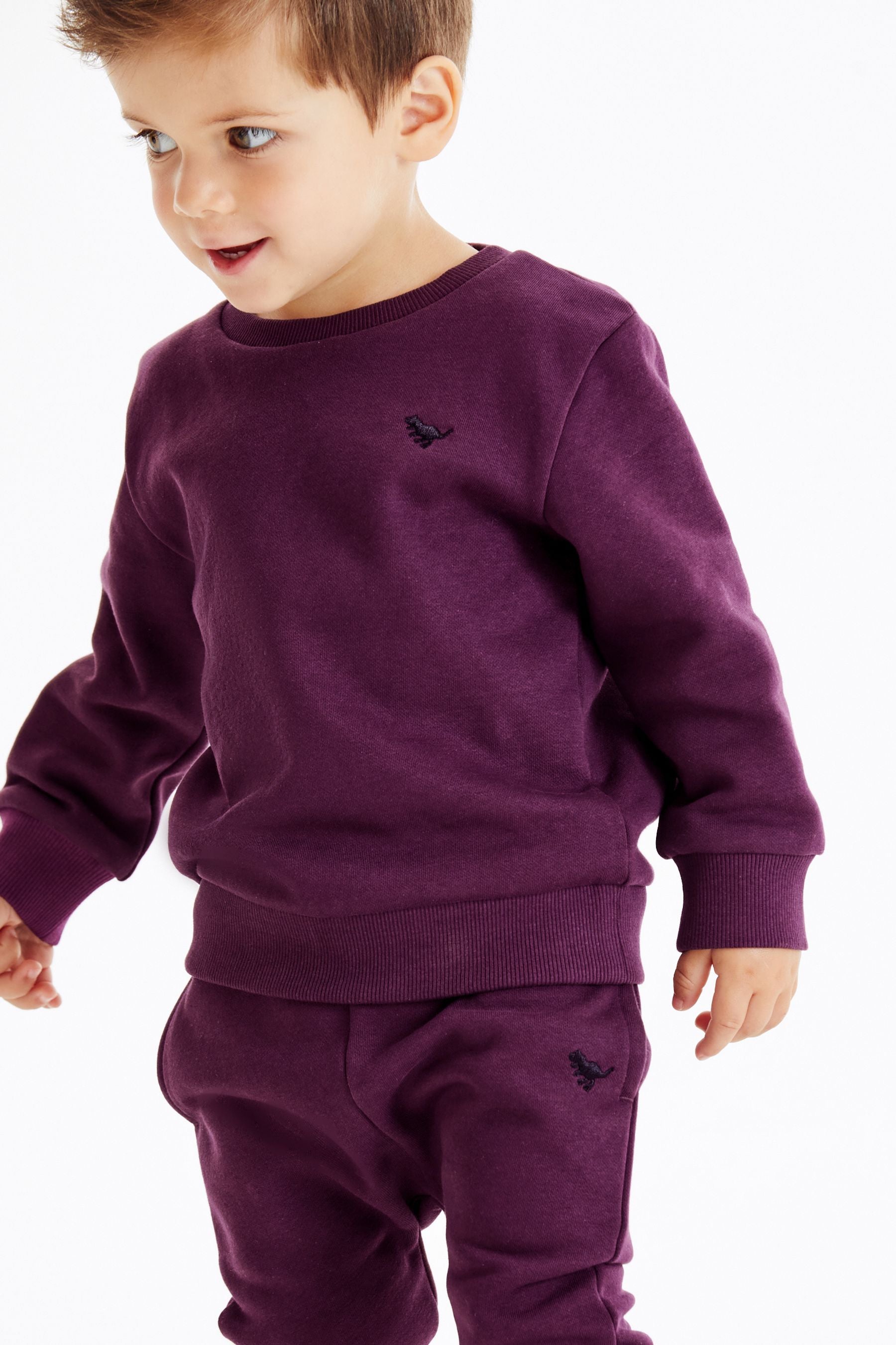 Plum Purple Jersey Sweatshirt And Joggers Set (3mths-7yrs)