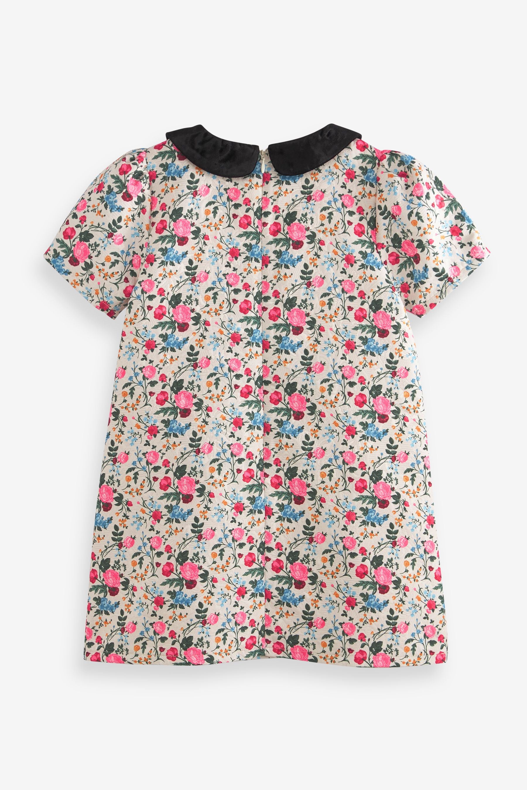 Pink Ditsy Jacquard Collar Dress (3mths-16yrs)