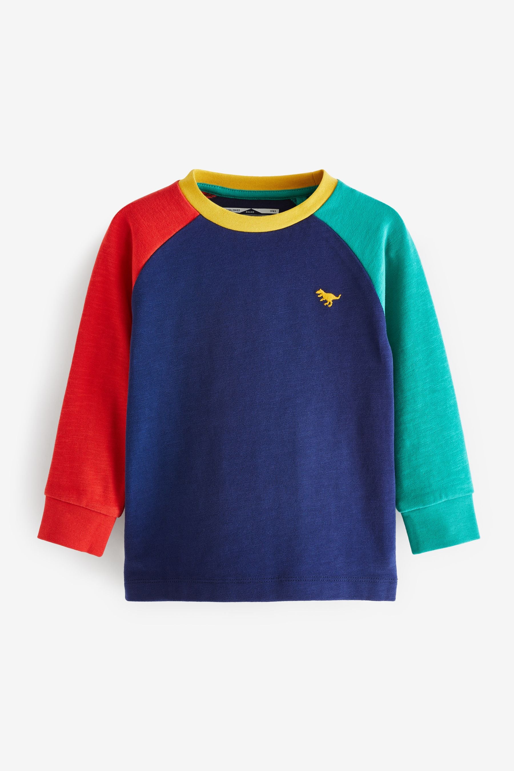 Blue Multicolour Cosy Colourblock Long Sleeve T-Shirt (3mths-7yrs)