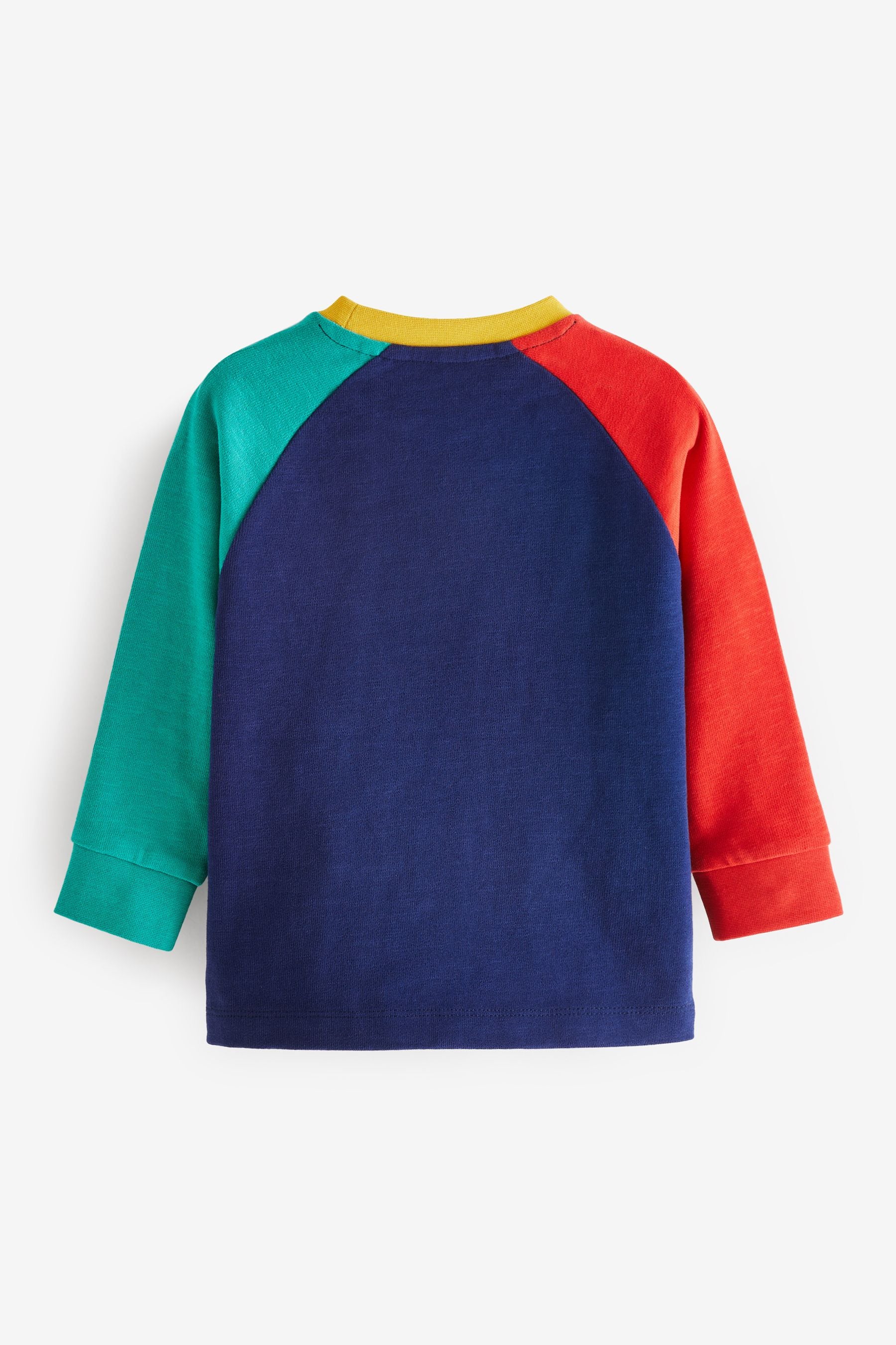 Blue Multicolour Cosy Colourblock Long Sleeve T-Shirt (3mths-7yrs)