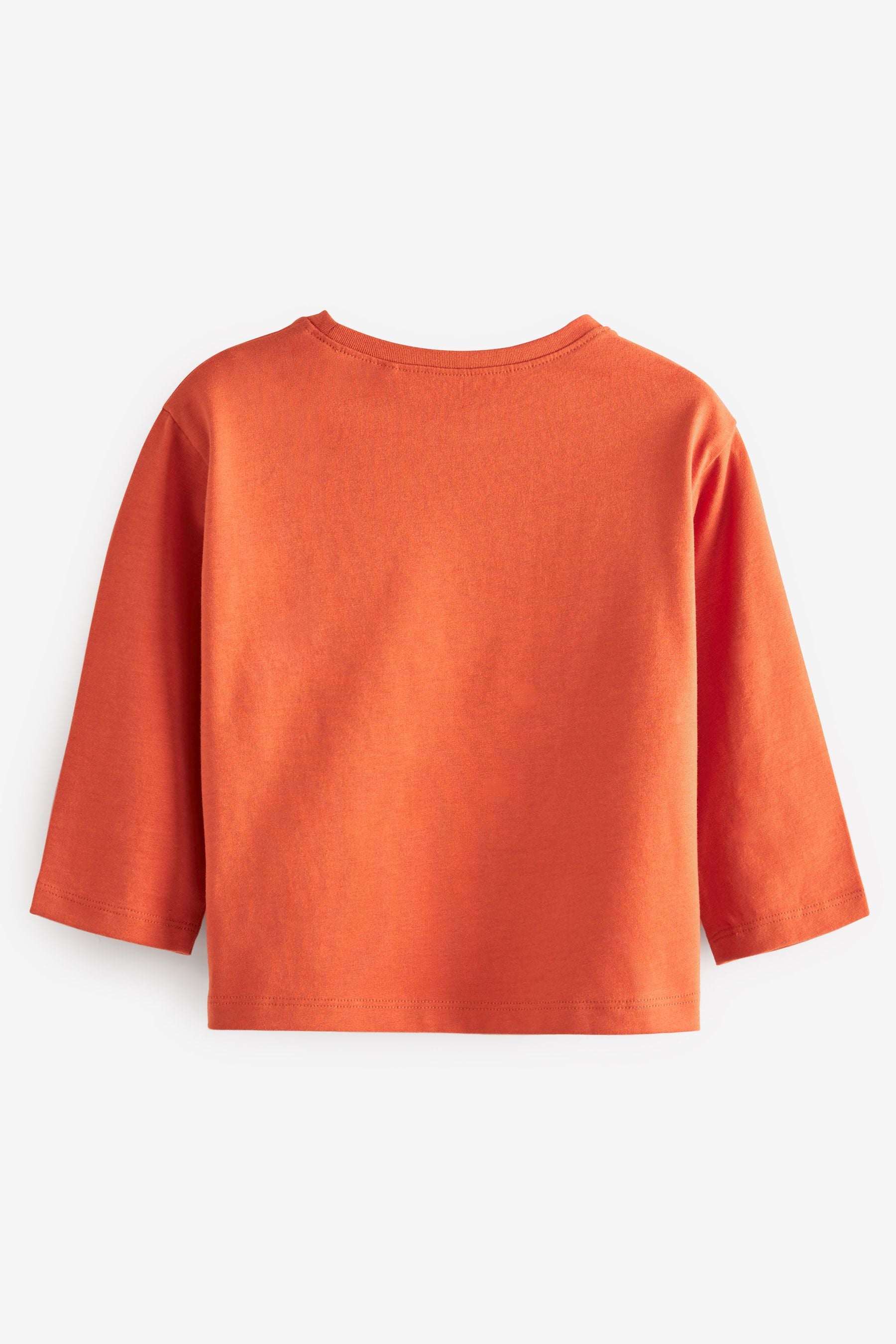 Burnt Orange Long Sleeve Cotton T-Shirt (3mths-7yrs)