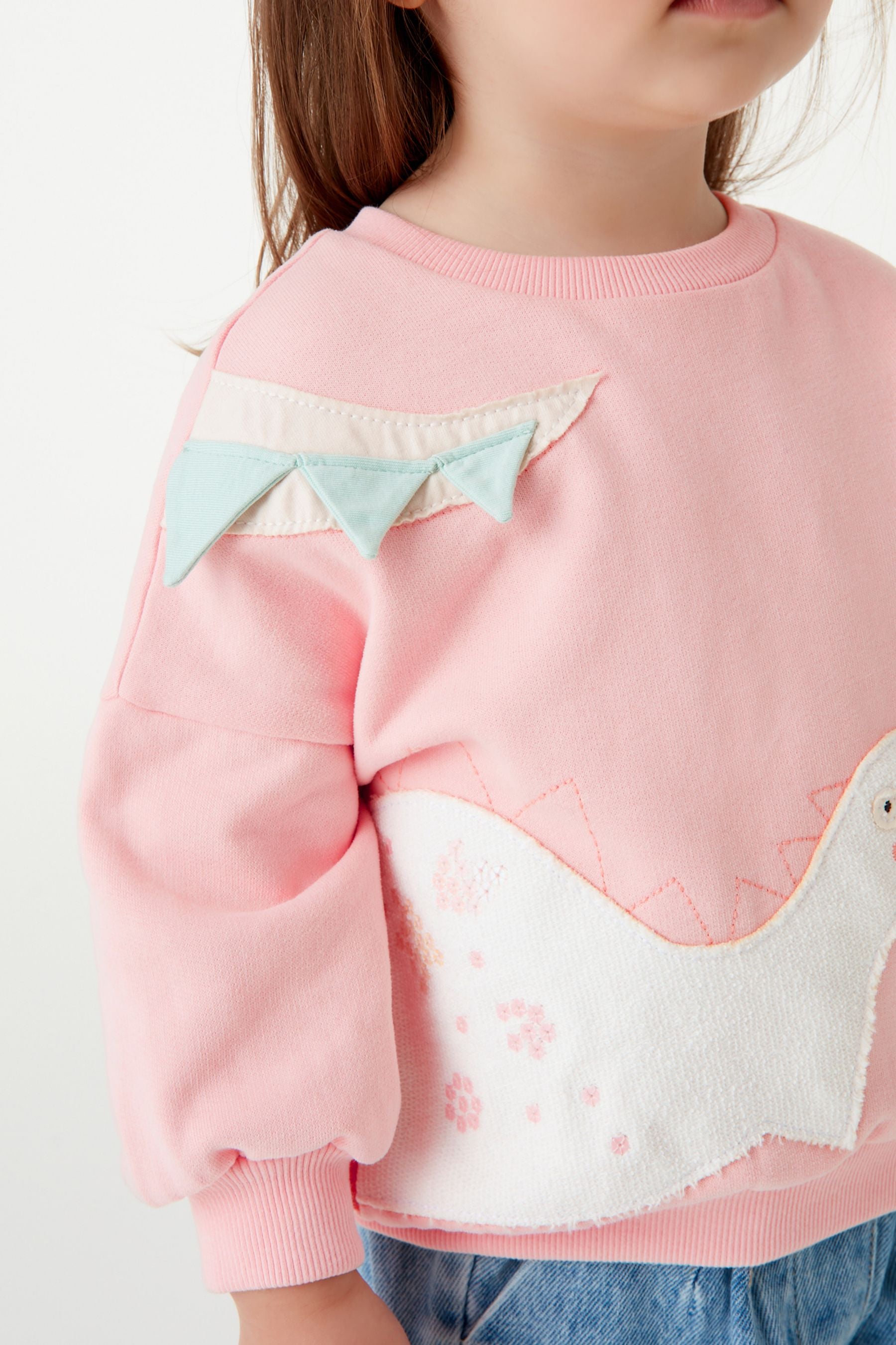 Pink Dinosaur Character Sweatshirt (3mths-7yrs)