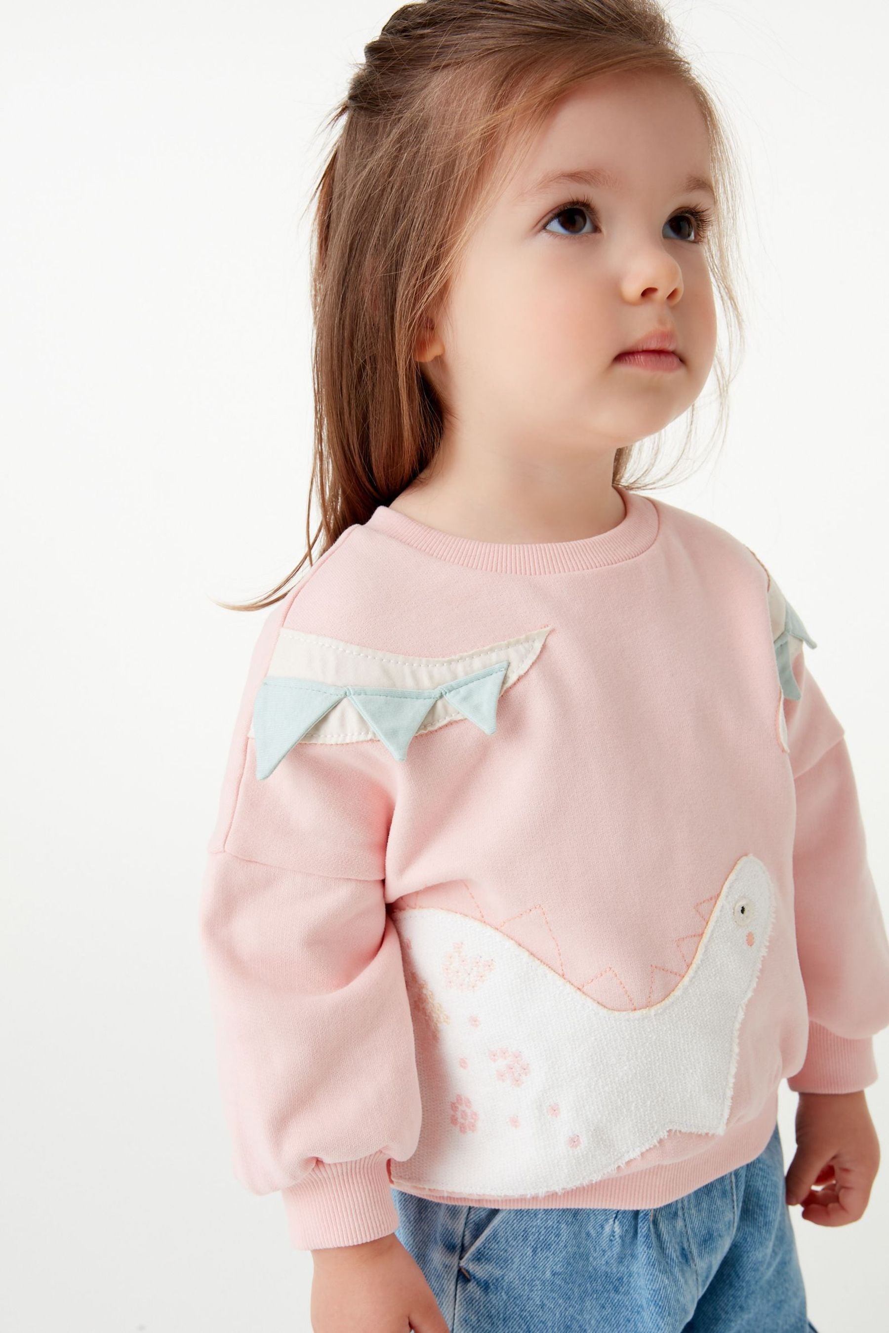 Pink Dinosaur Character Sweatshirt (3mths-7yrs)