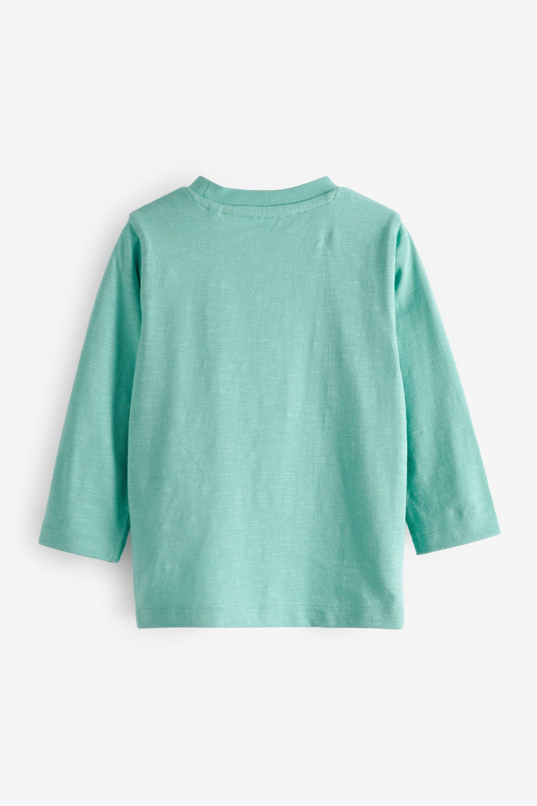 Mint Blue Best Bro Long Sleeve Slogan T-Shirt (3mths-7yrs)