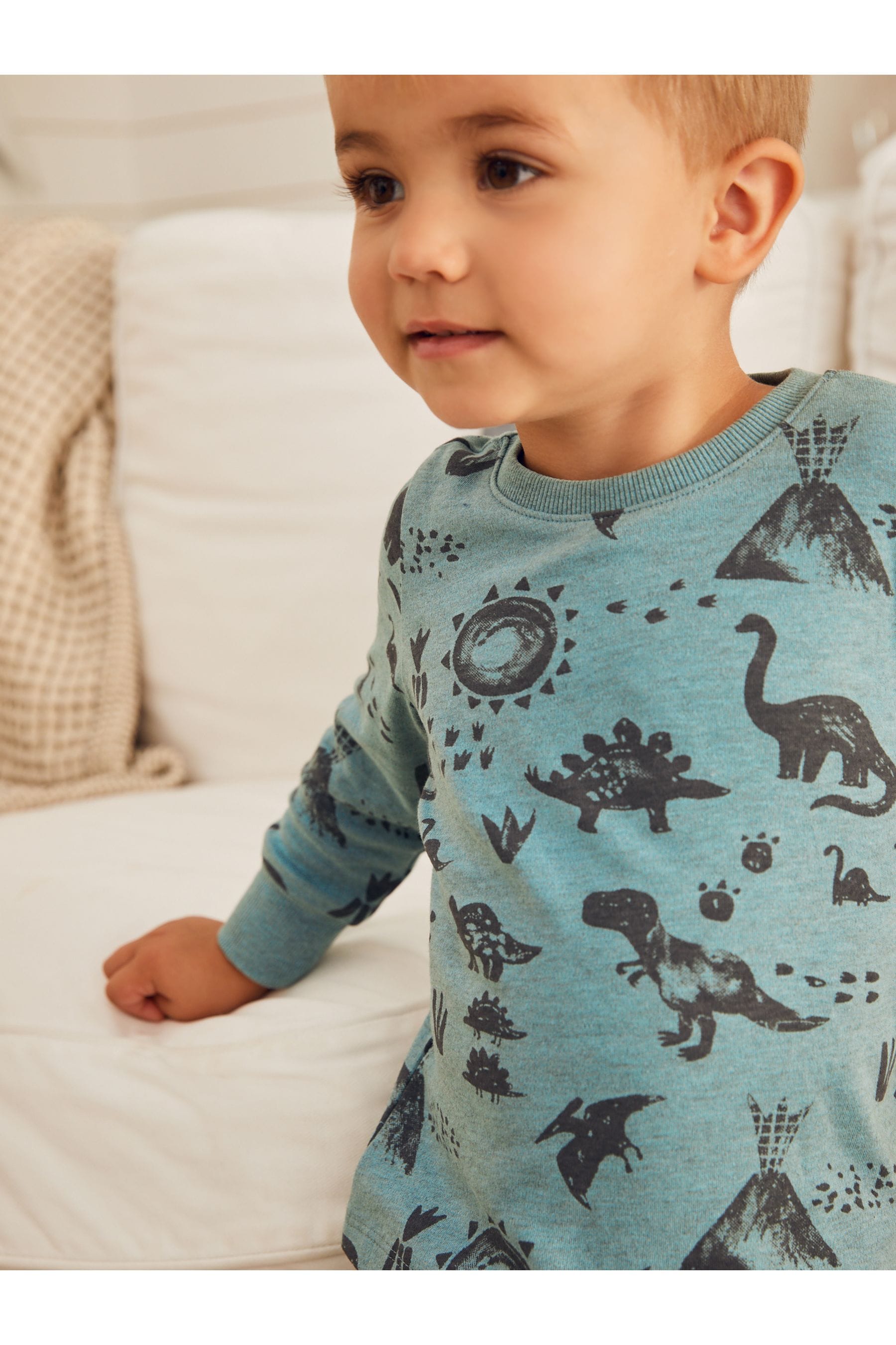 Purple/ Blue Dino 3 Pack Snuggle Pyjamas (9mths-12yrs)