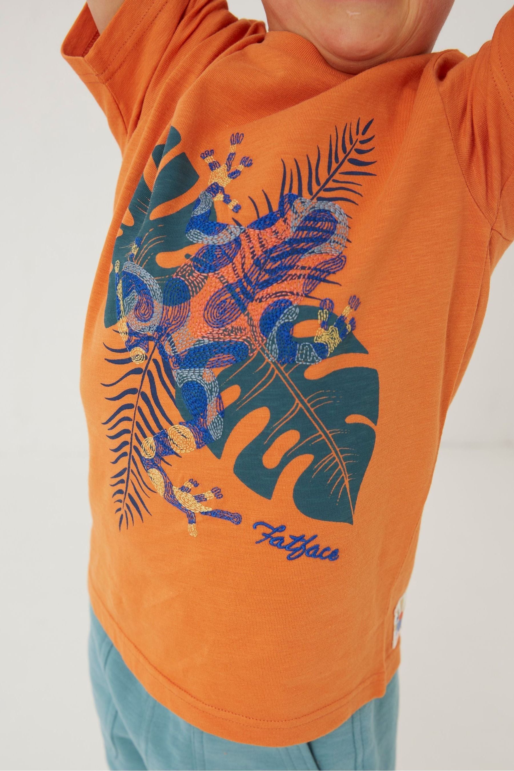 Orange FatFace Orange Treefrog T-Shirt