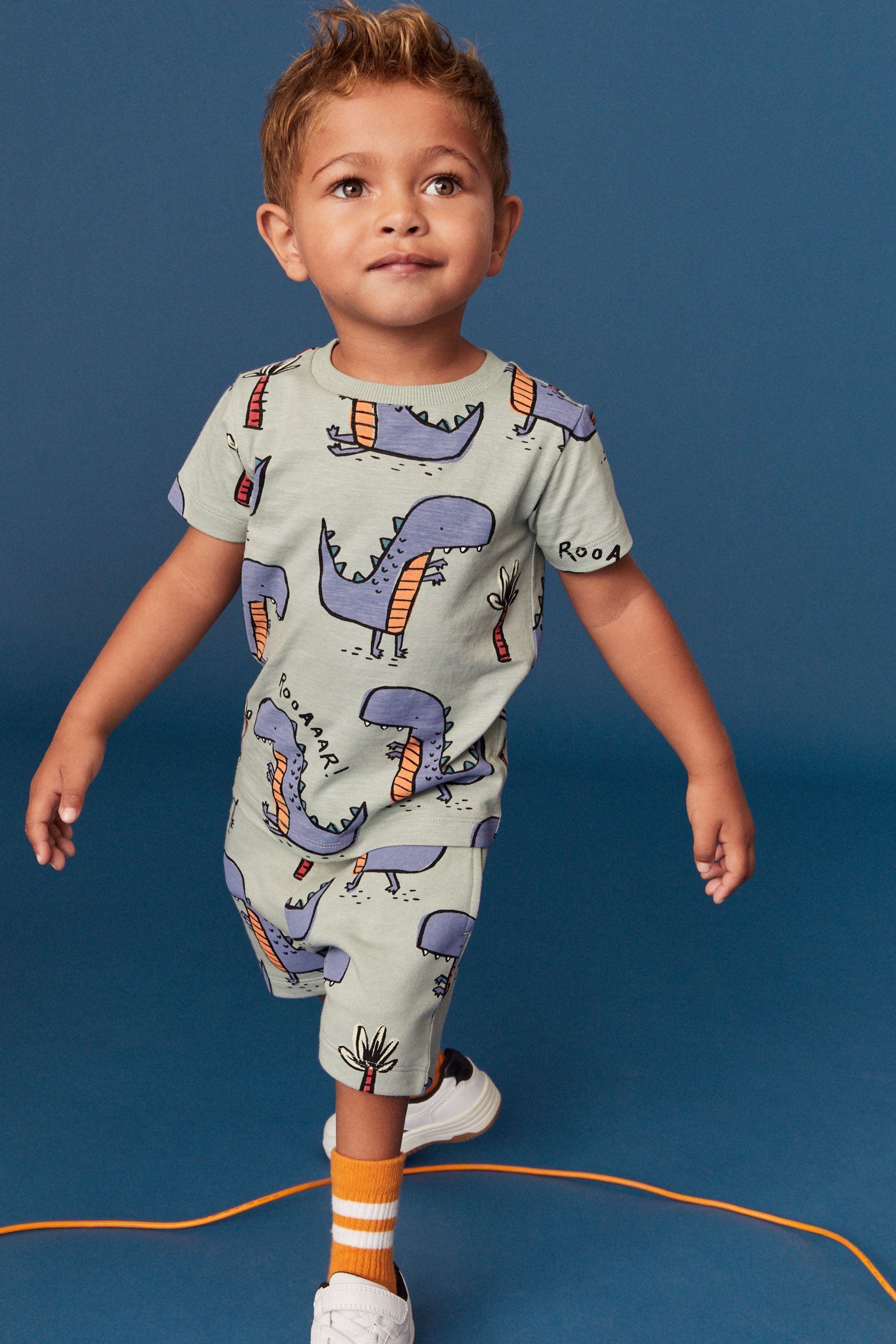 Mineral Green Dino All-Over Printed T-Shirt and Shorts Set (3mths-7yrs)