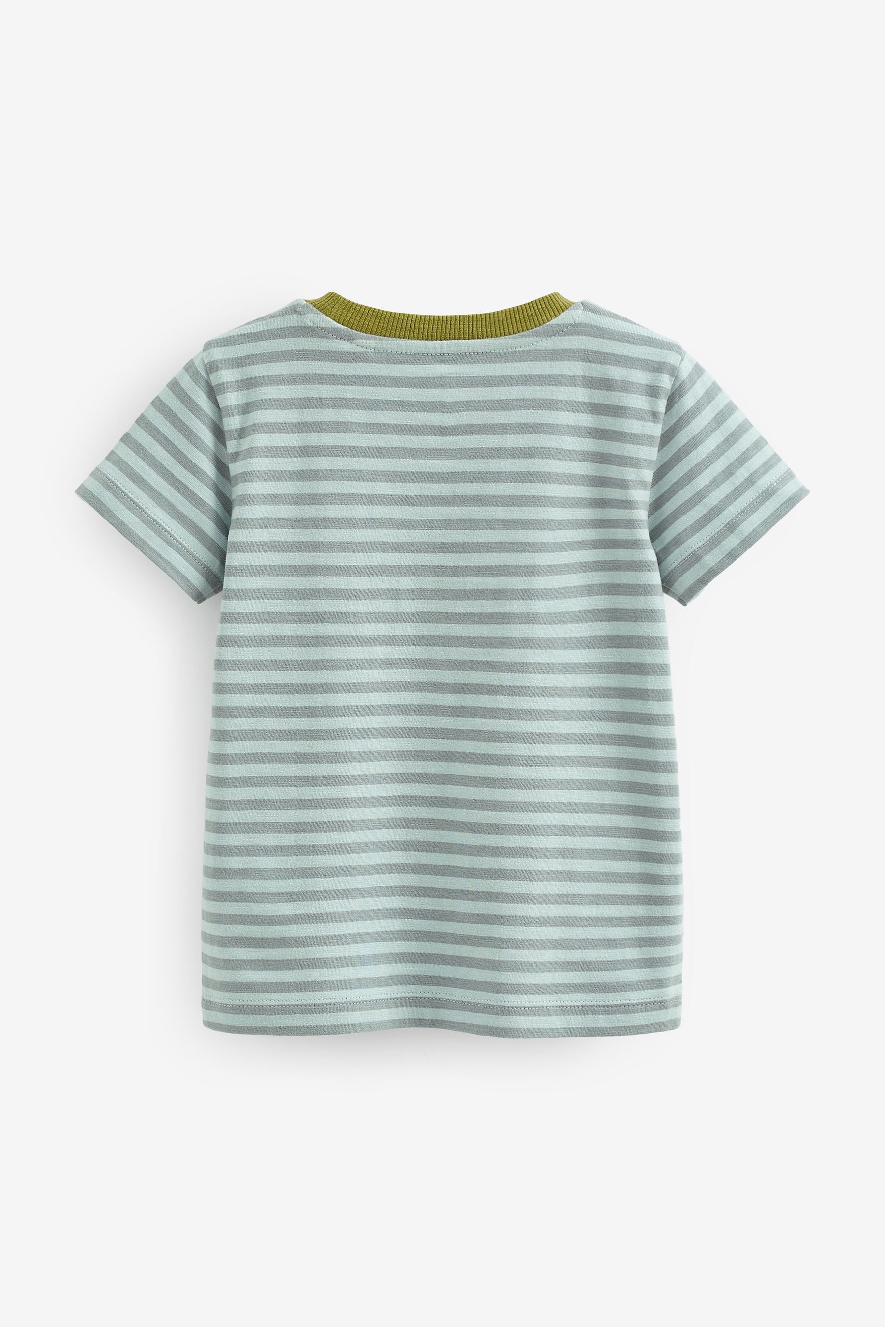 Green/Blue Stripe Short Sleeves T-Shirt 5 Pack (3mths-7yrs)