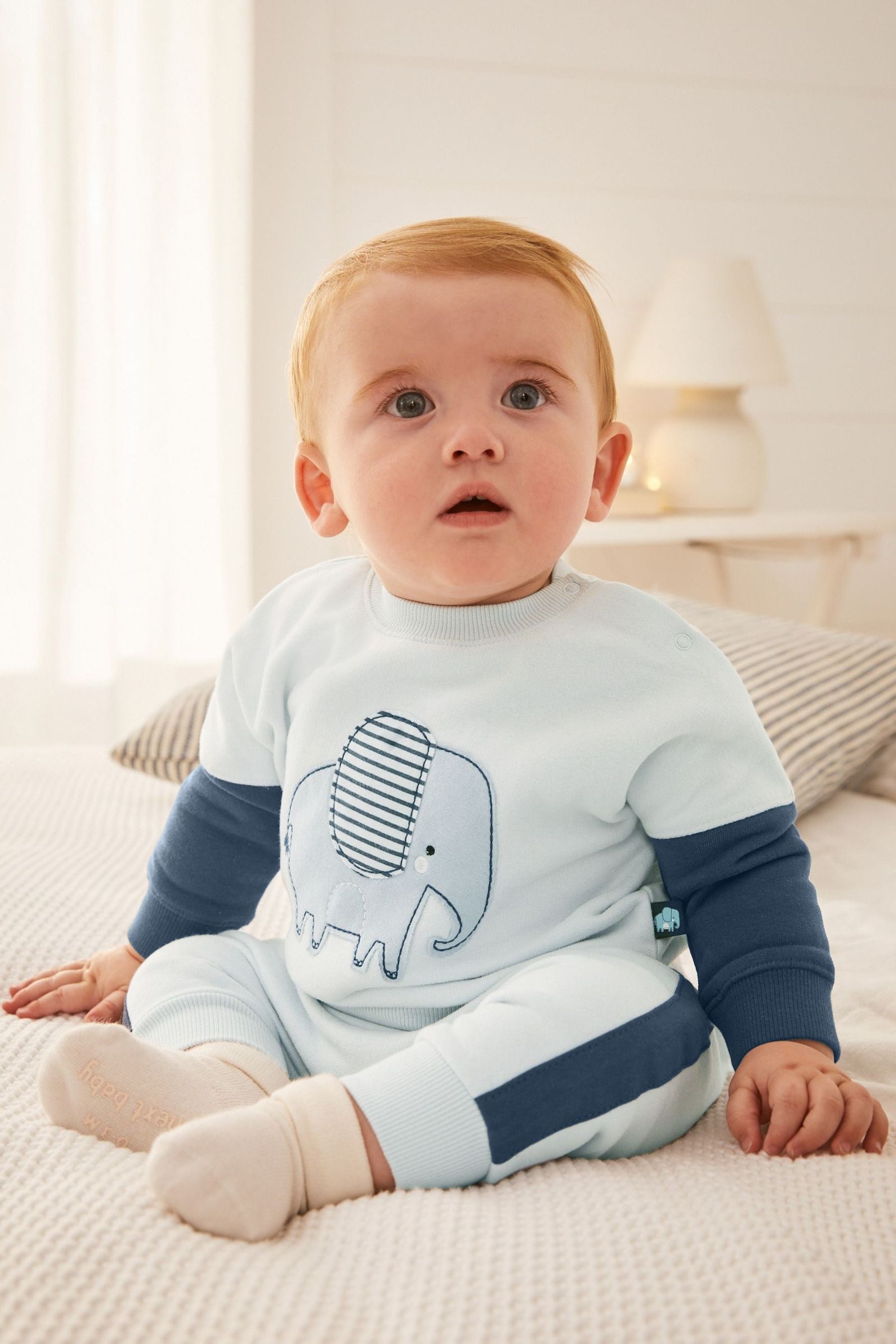 Blue Elephant Two Piece Baby Sweatshirt And Joggers