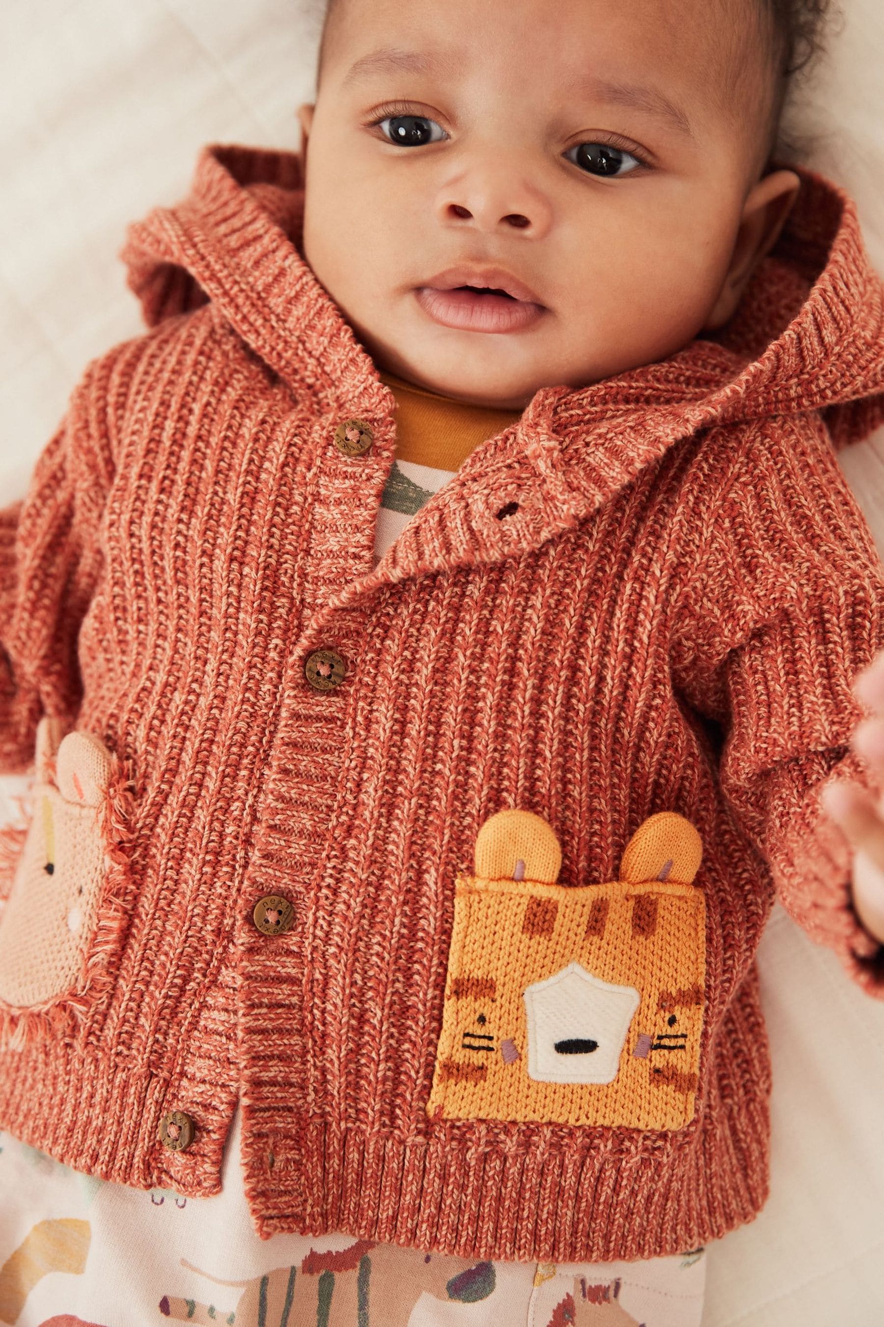 Rust Brown Animal Knitted Baby Cardigan (0mths-2yrs)