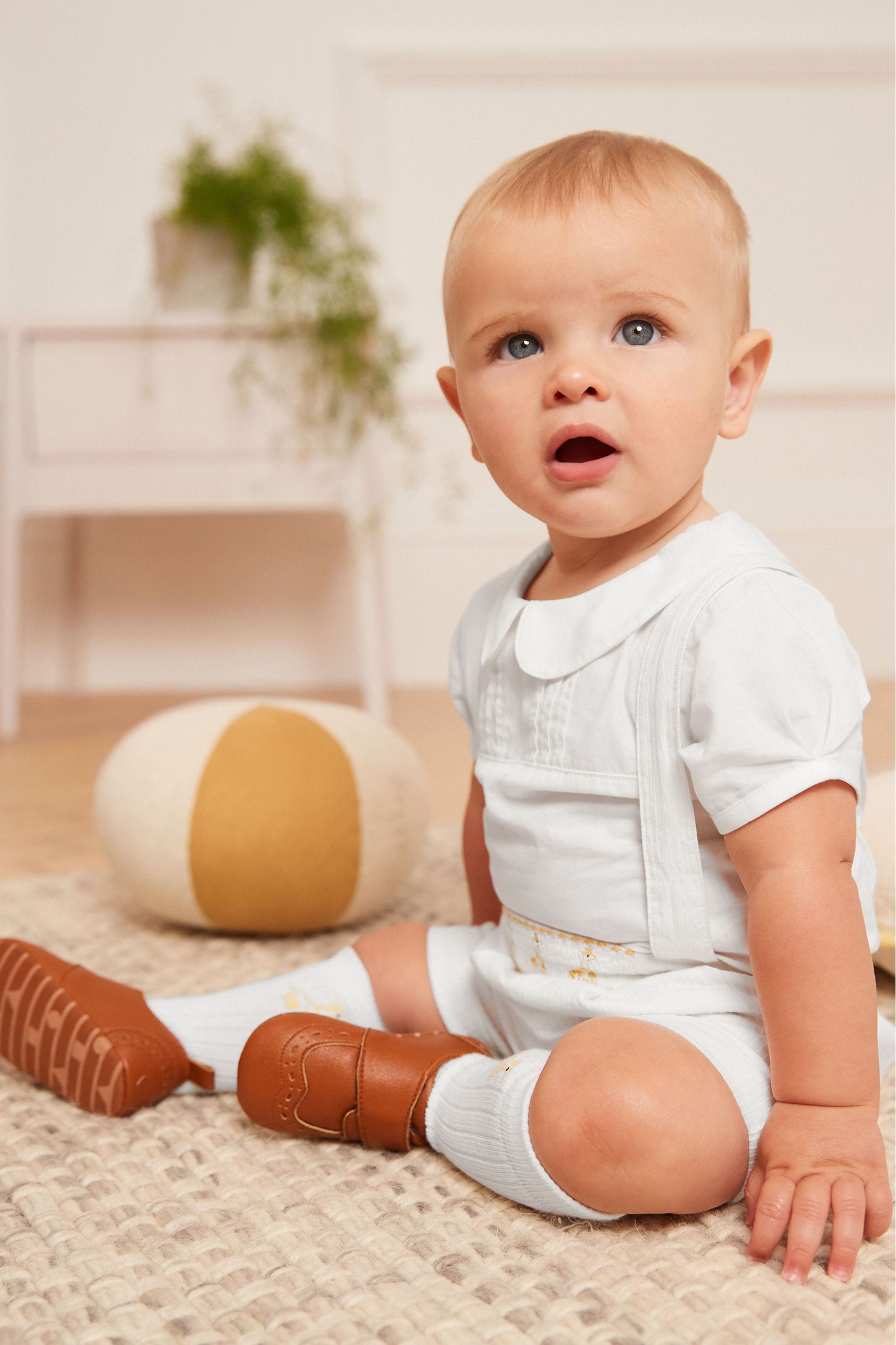 White Three Piece Baby Smart Shirt, Shorts And Socks Set (0mths-2yrs)