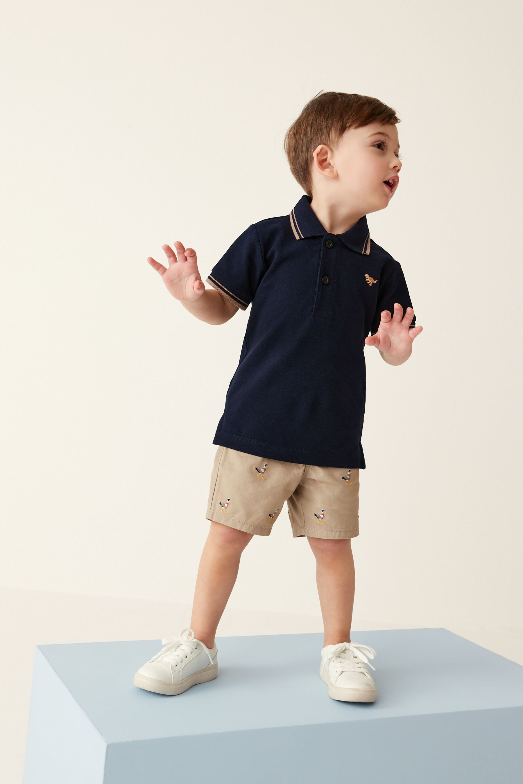 Stone Seagull Embroidered Chino Shorts (3mths-7yrs)