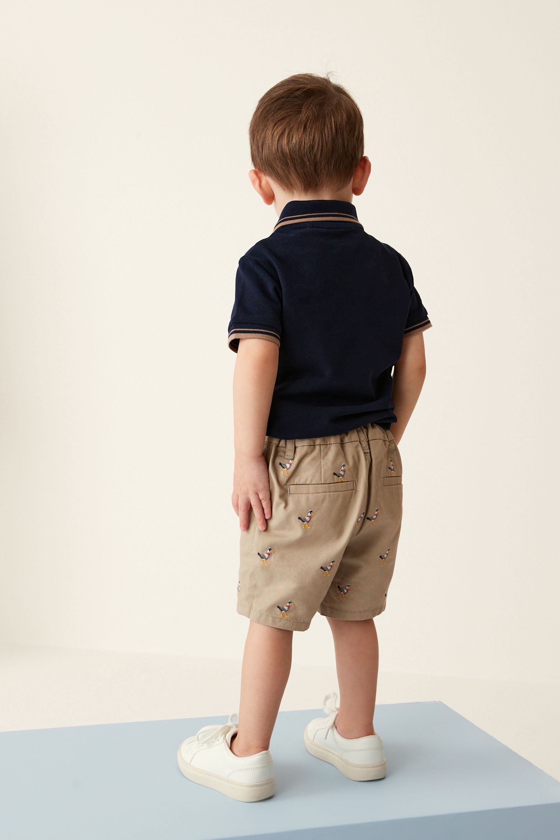 Stone Seagull Embroidered Chino Shorts (3mths-7yrs)