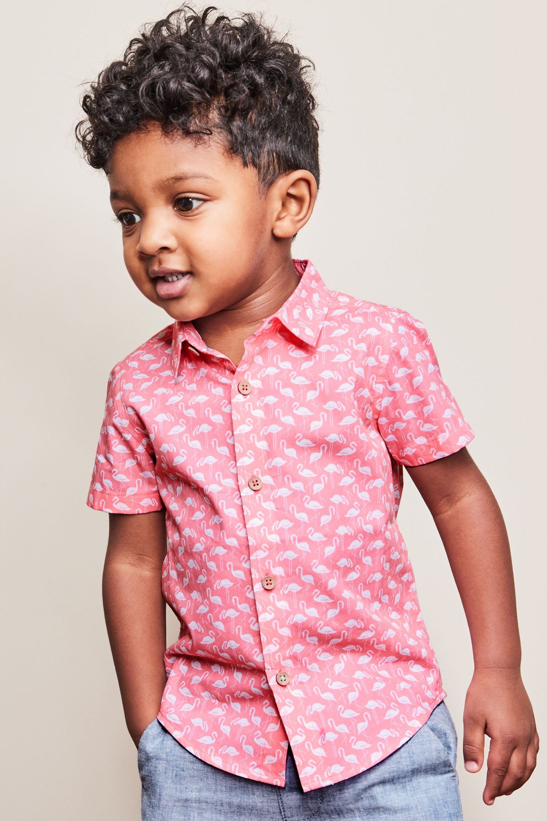 Pink Flamingo Printed Short Sleeve Shirt (3mths-7yrs)