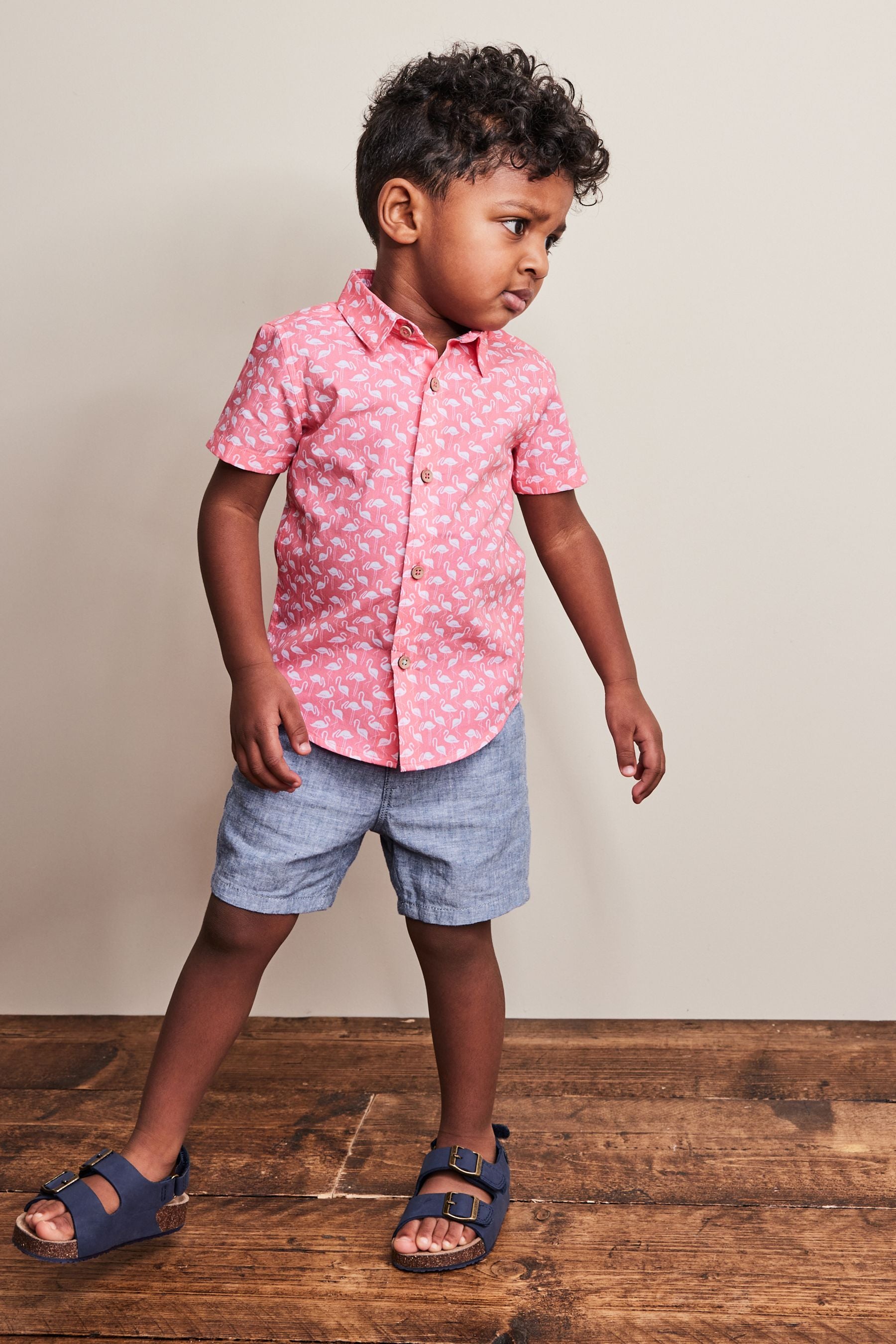 Pink Flamingo Printed Short Sleeve Shirt (3mths-7yrs)