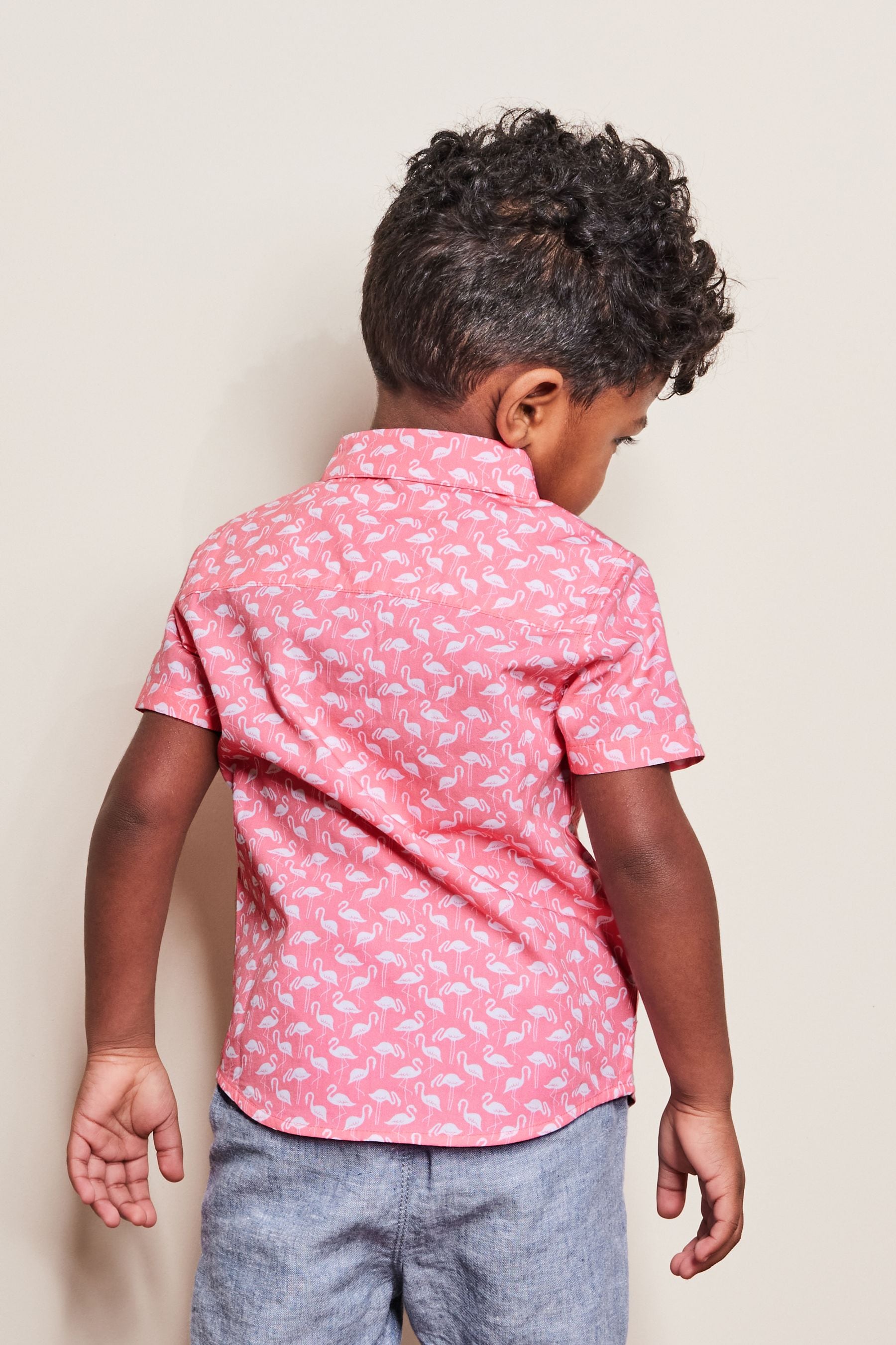 Pink Flamingo Printed Short Sleeve Shirt (3mths-7yrs)