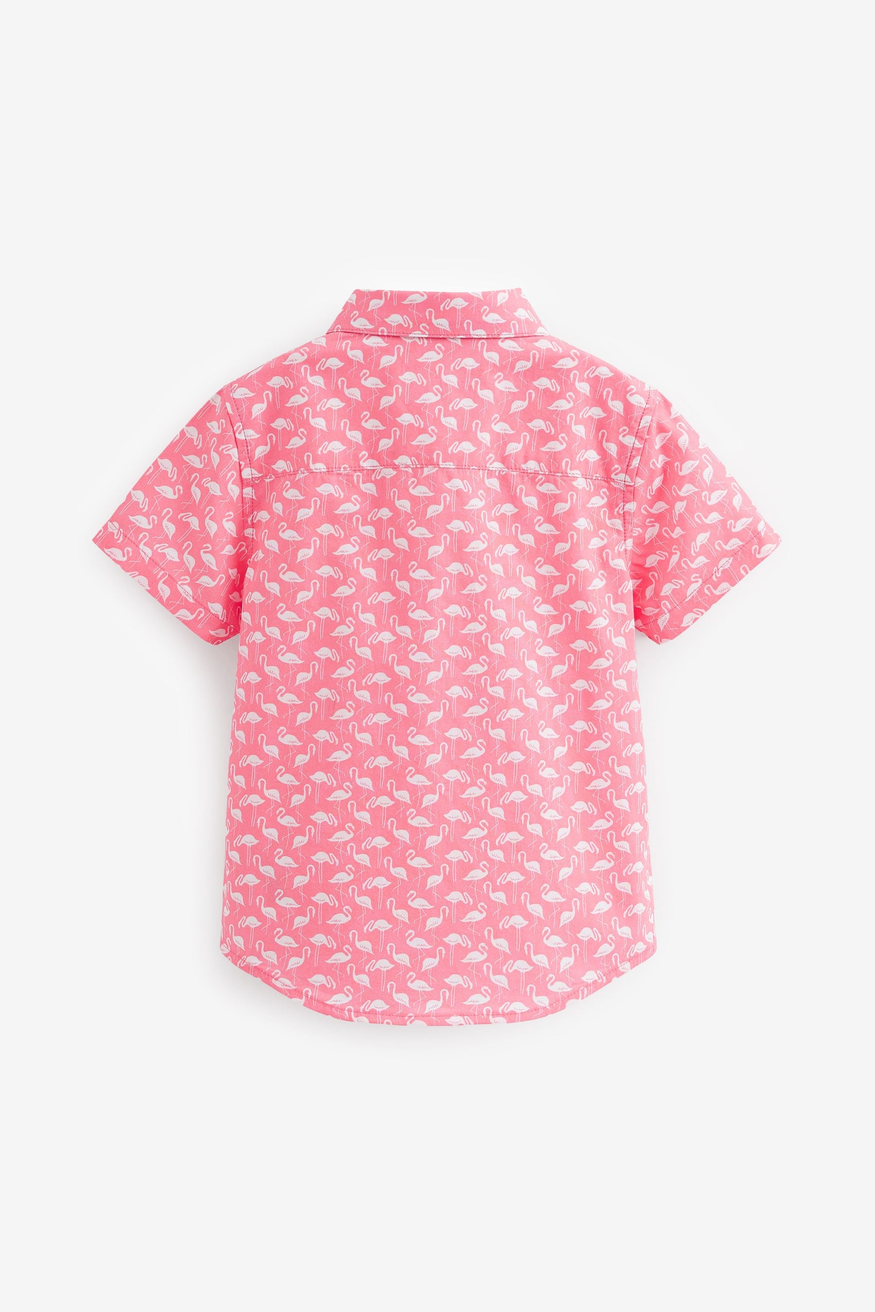 Pink Flamingo Printed Short Sleeve Shirt (3mths-7yrs)