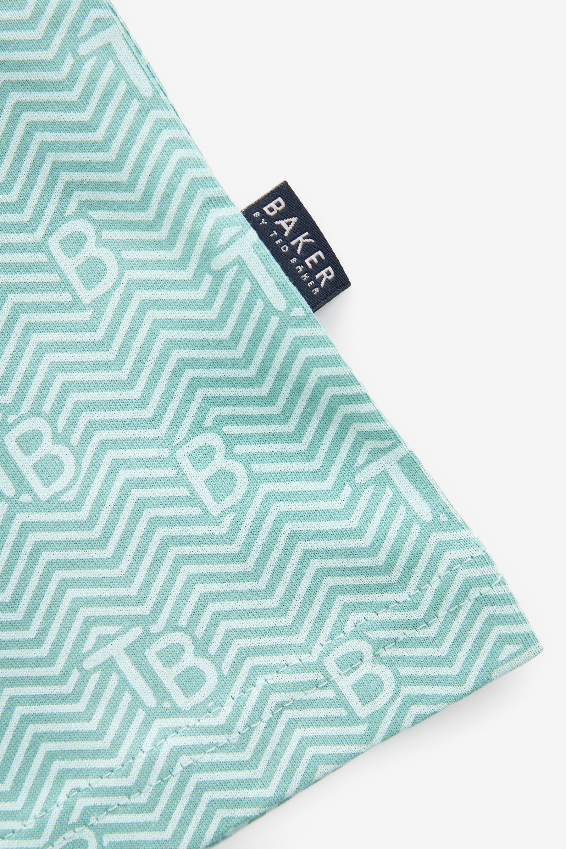 Green Baker by Ted Baker Polo Shirt